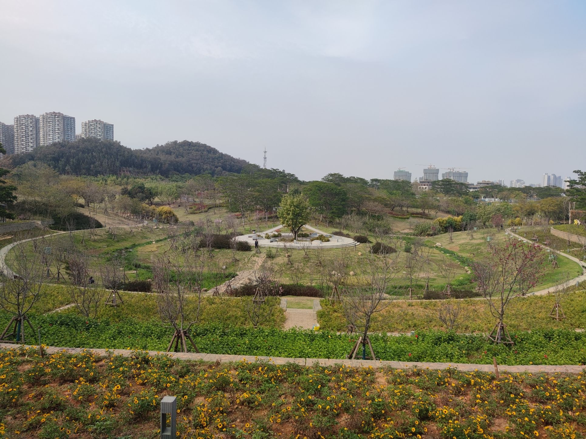 美峰生态公园旅行图片 3