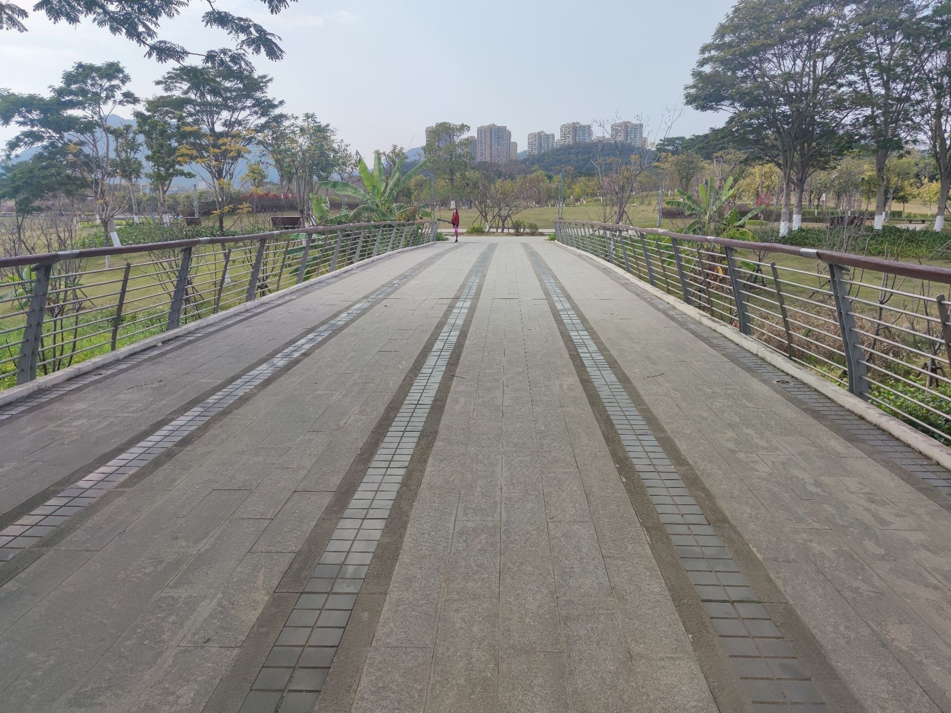 美峰生态公园旅行图片 1