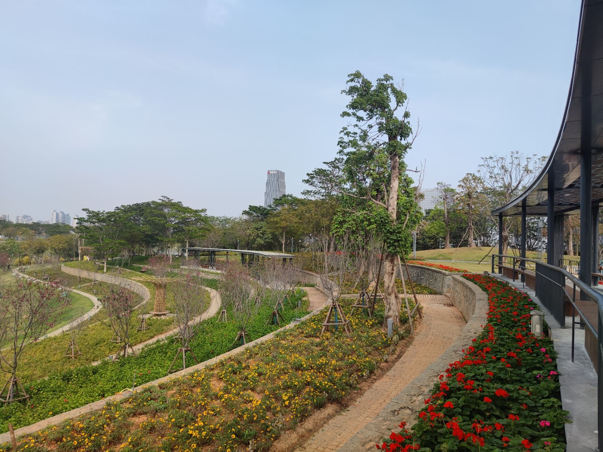 美峰生态公园旅行图片 2