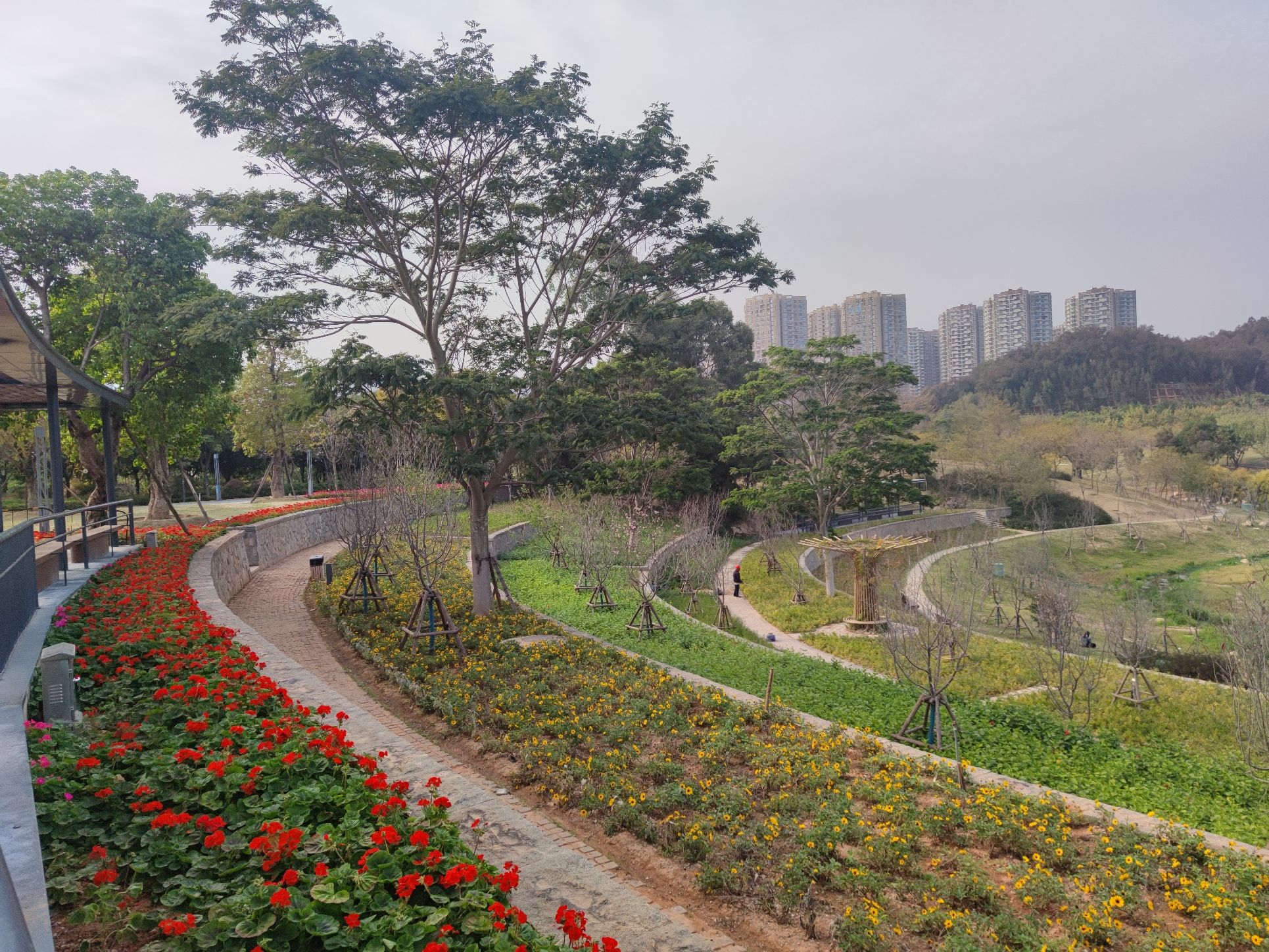 美峰生态公园旅行图片 1