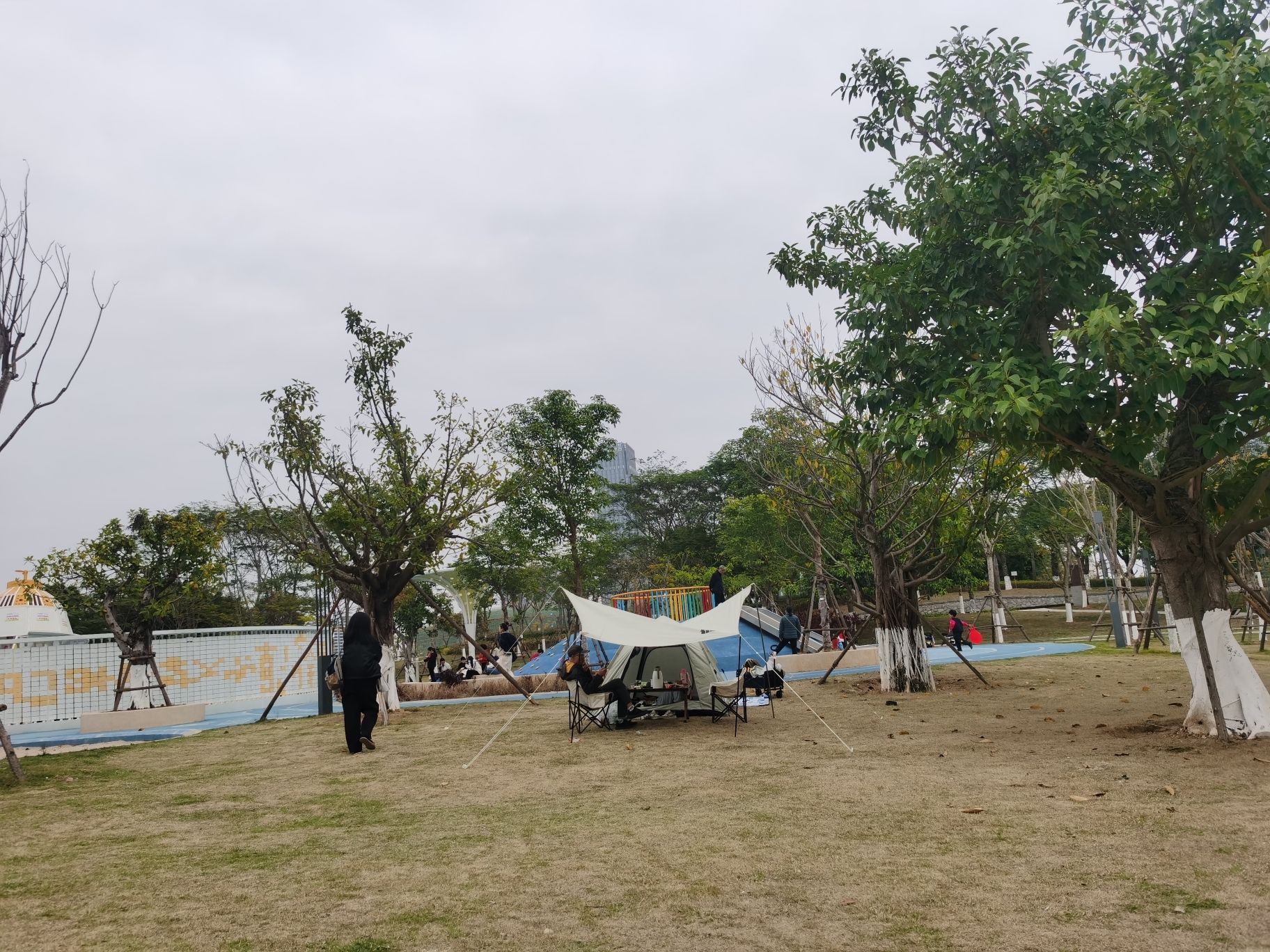 美峰生态公园旅行图片 3