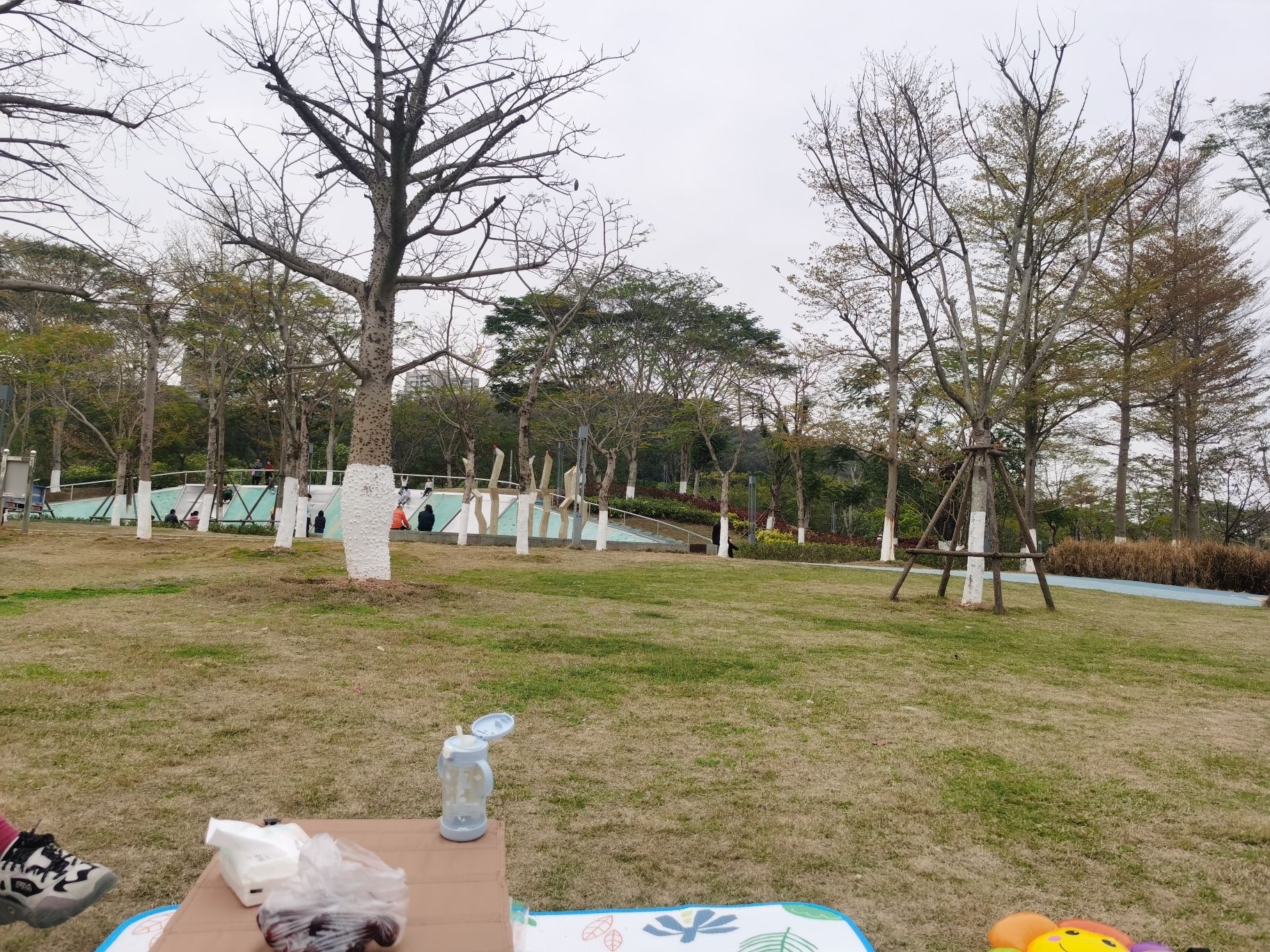 美峰生态公园旅行图片 1