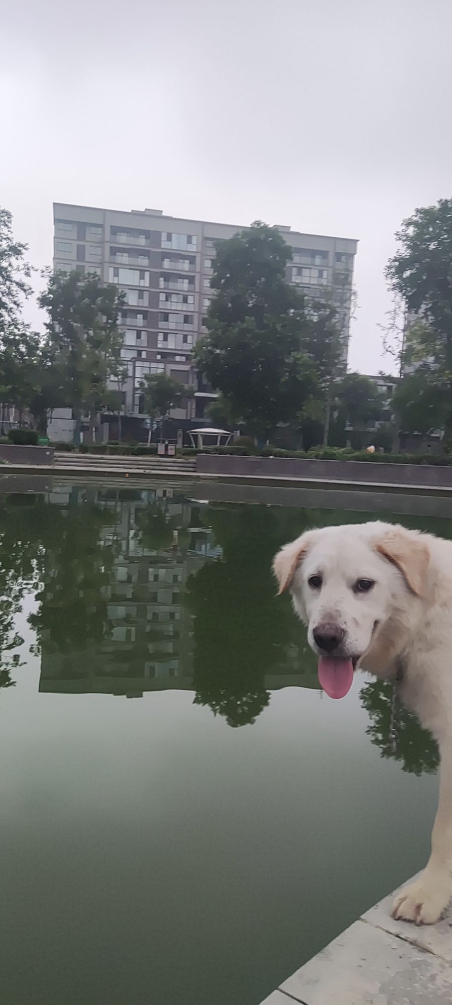 刘桥体育公园旅行图片 1