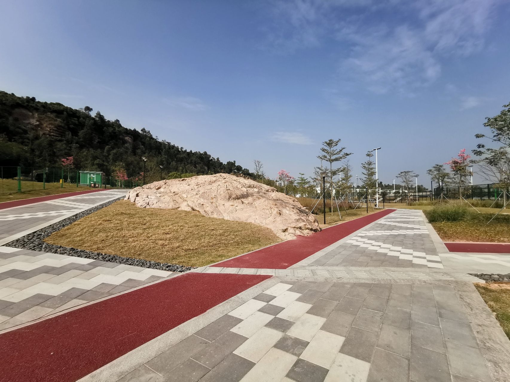 白藤山生态修复湿地公园旅行图片 2