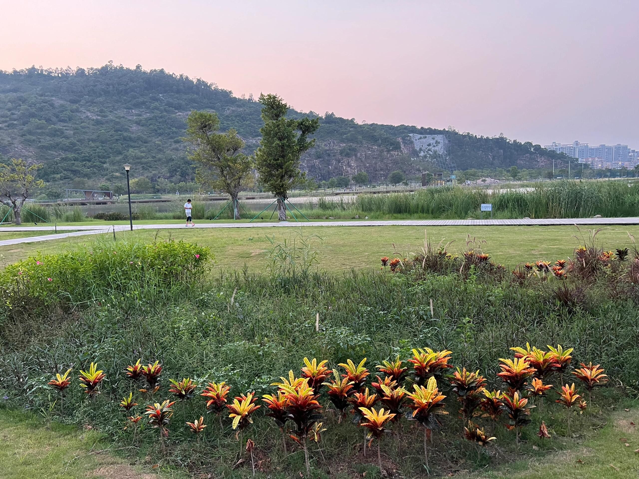 白藤山生态修复湿地公园旅行图片 1