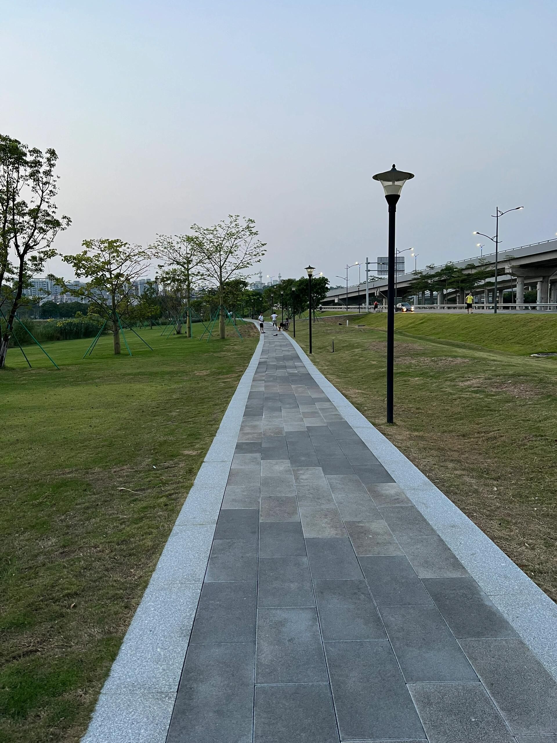白藤山生态修复湿地公园旅行图片 3