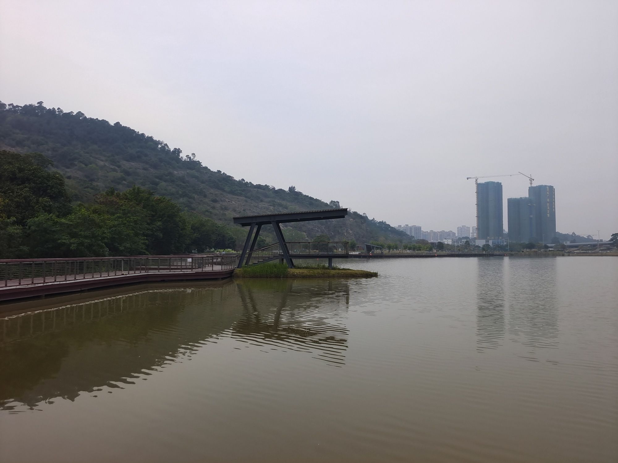 白藤山生态修复湿地公园旅行图片 2