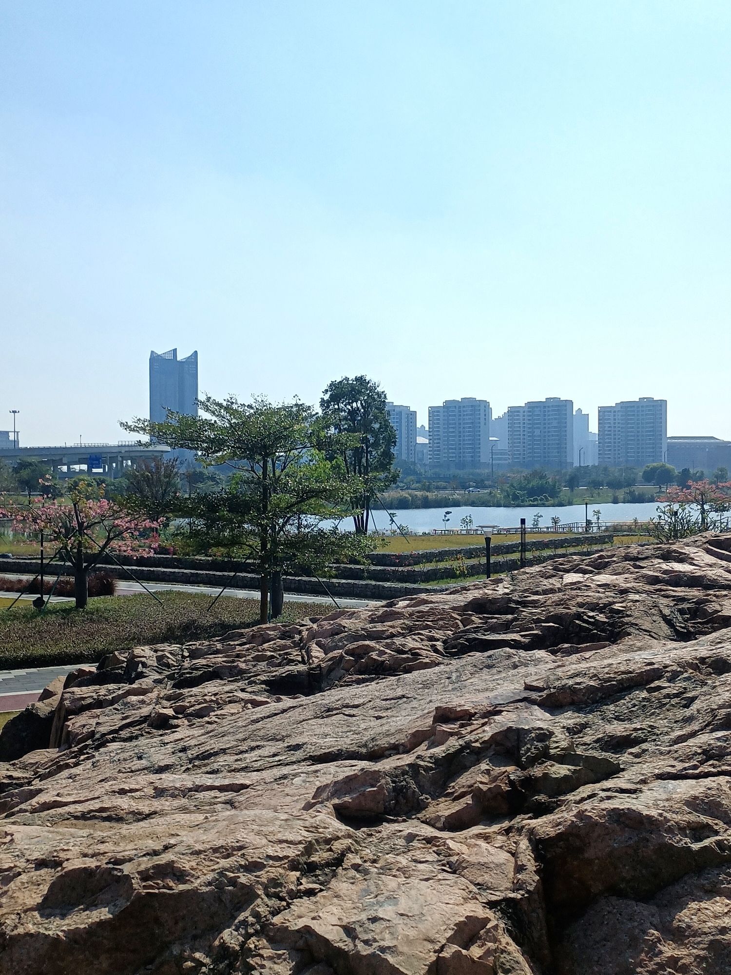 白藤山生态修复湿地公园旅行图片 3