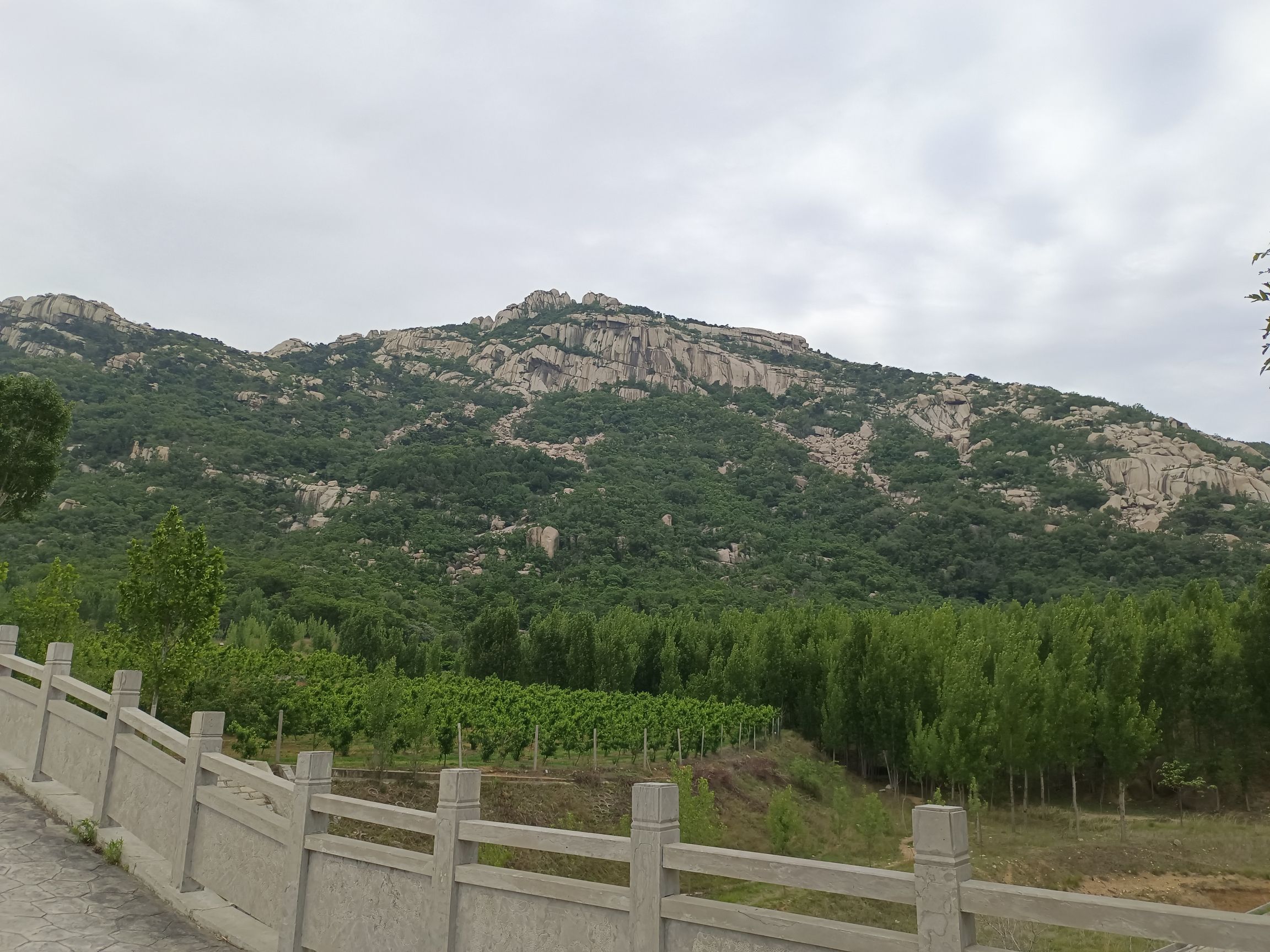 斗鸡台遗址旅行图片 2