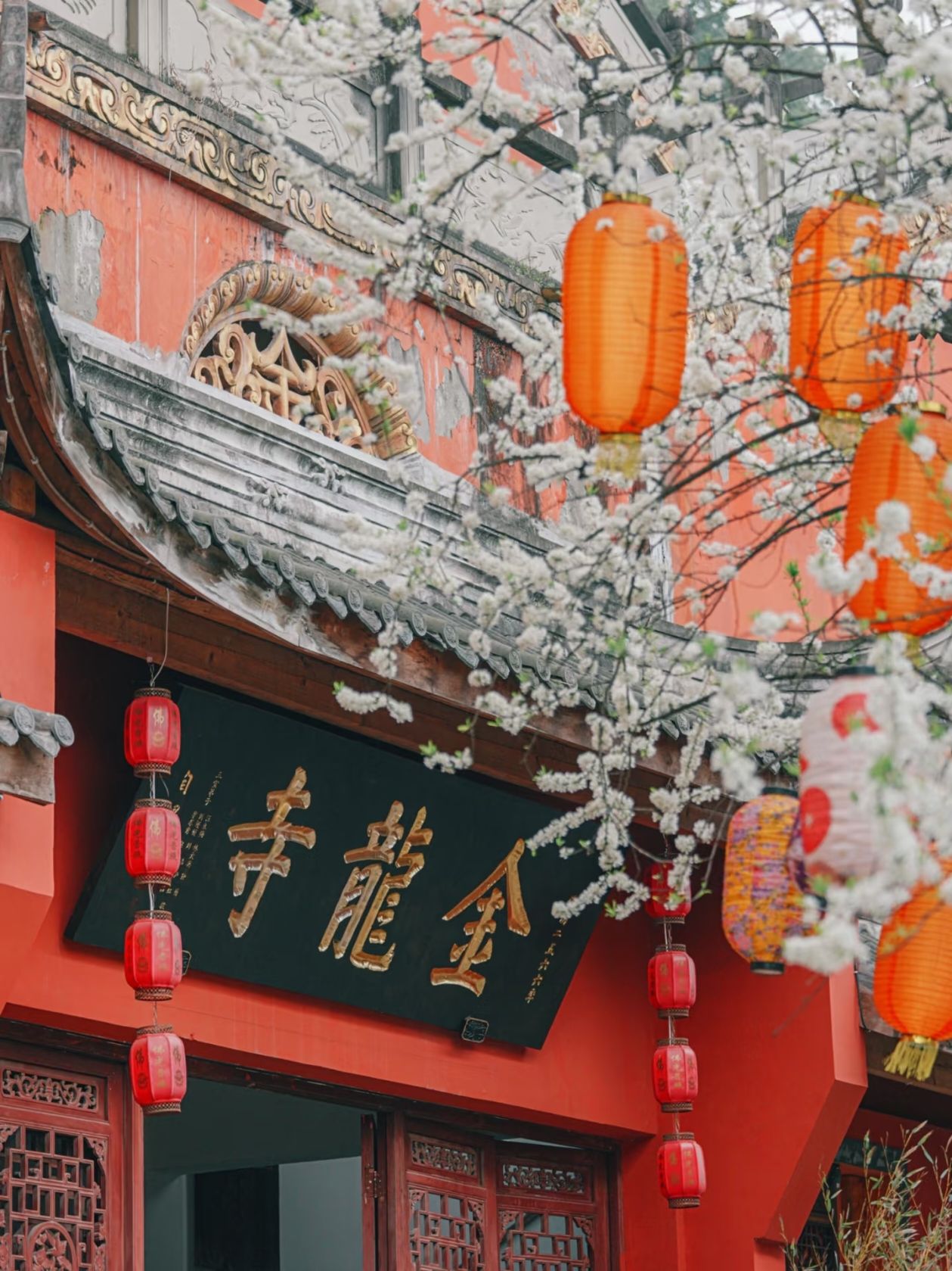 金龙寺实景照片