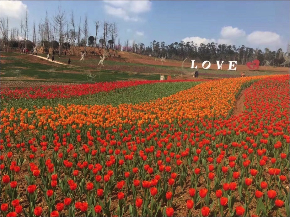 百花谷山庄