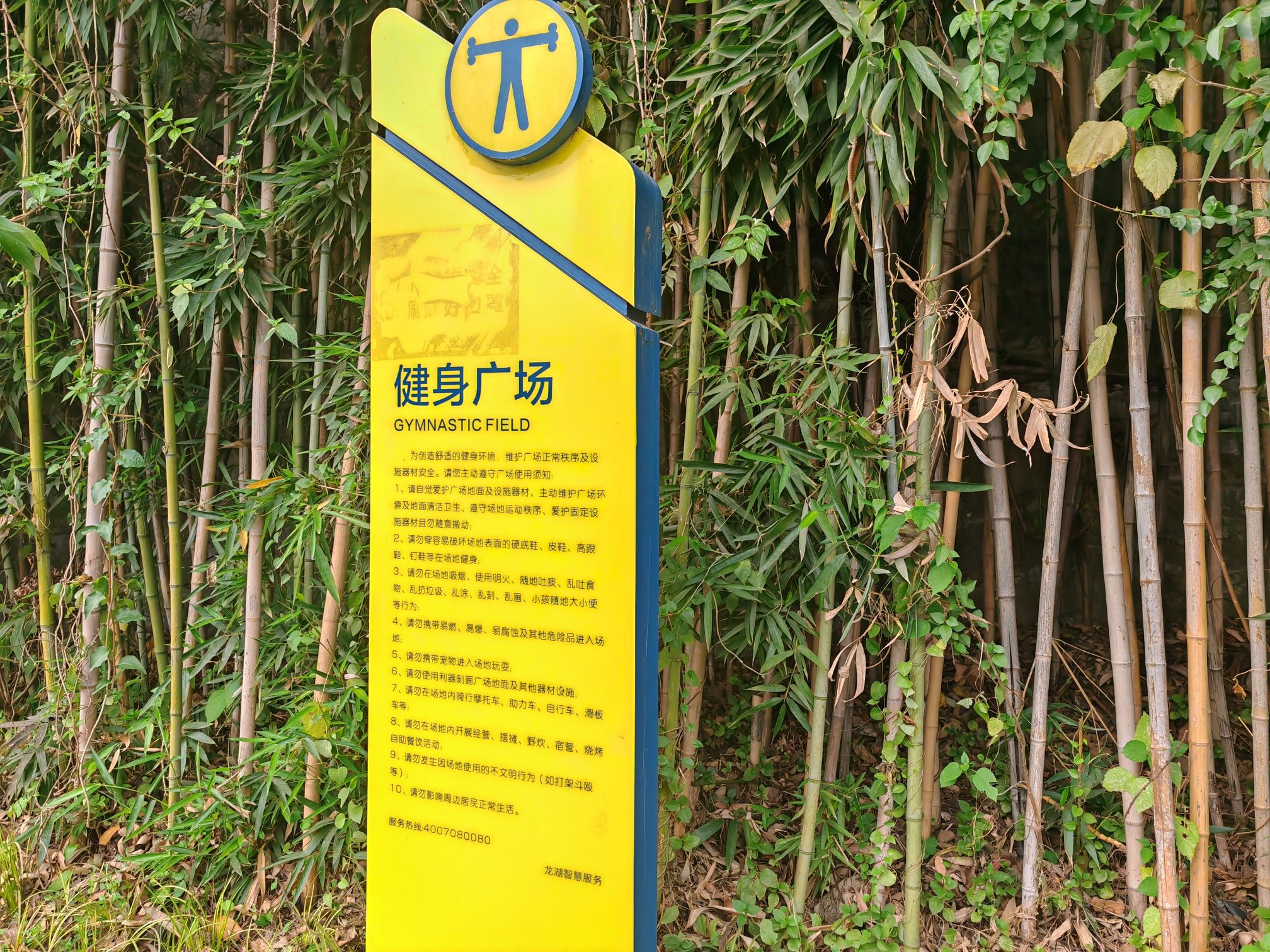 肖家湾体育文化公园旅行图片 3