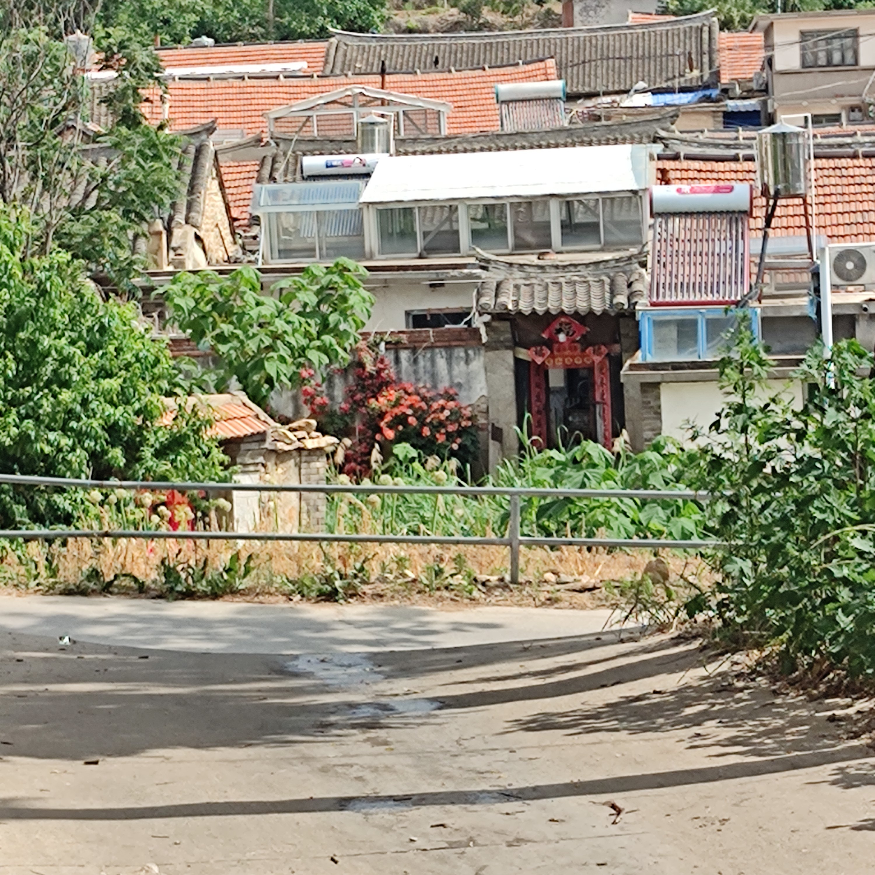 宅科古村落凤喙山旅游景区旅行图片 2