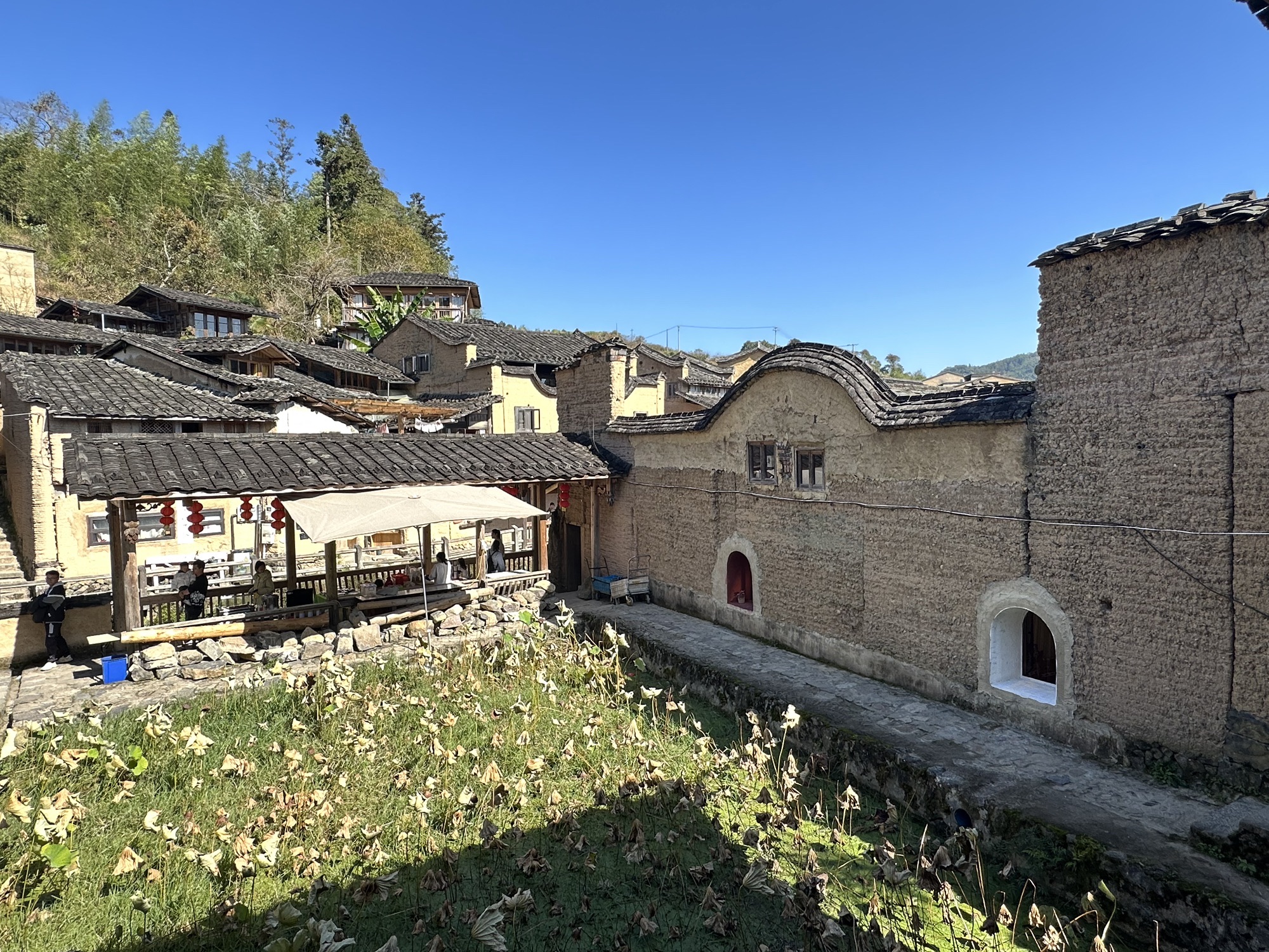 龙潭村旅行图片 2