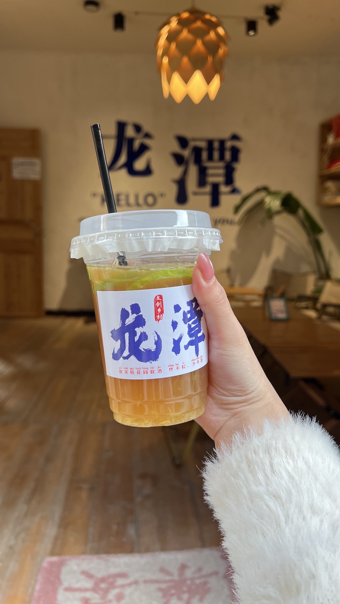 龙潭村旅行图片 1