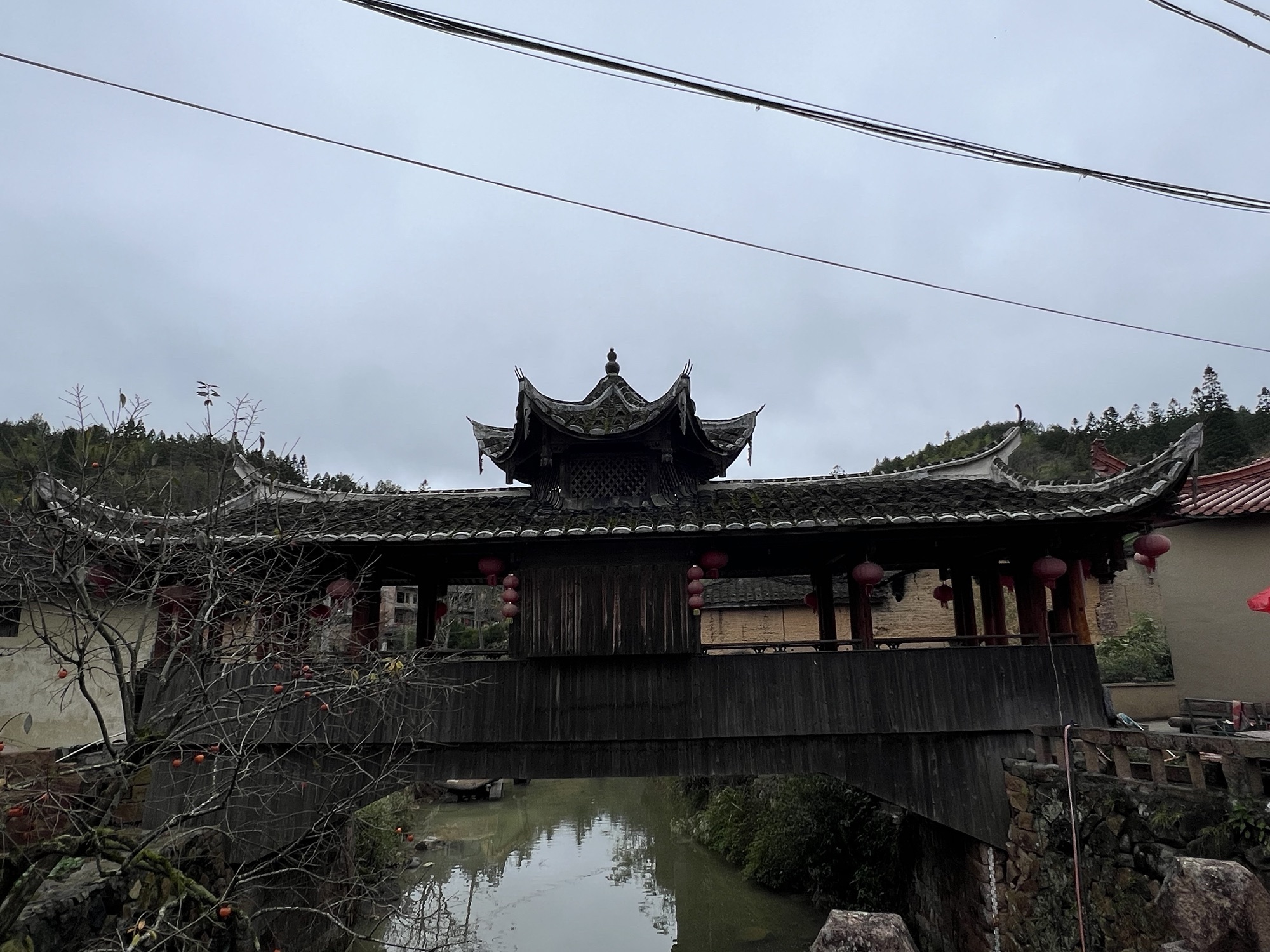 龙潭村旅行图片 1