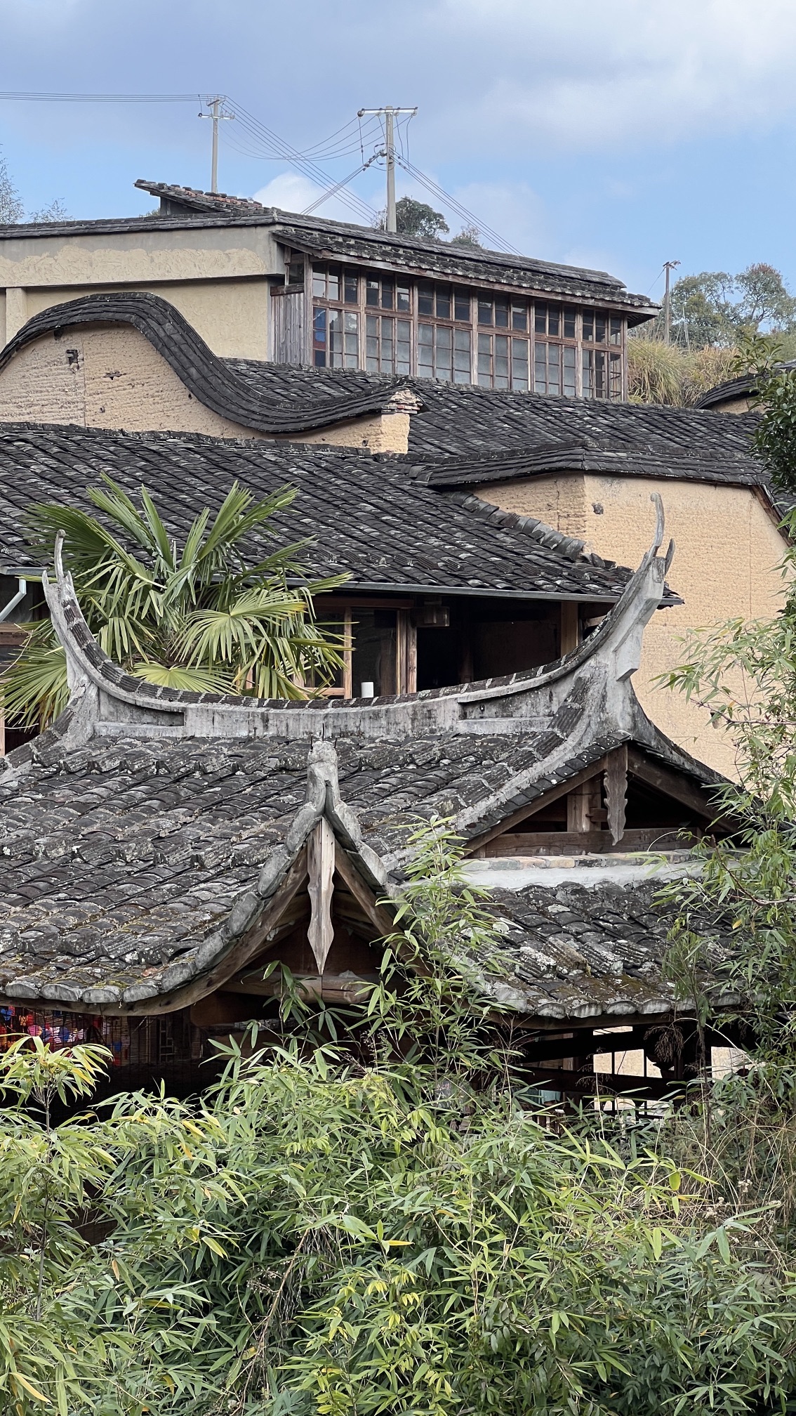龙潭村旅行图片 3