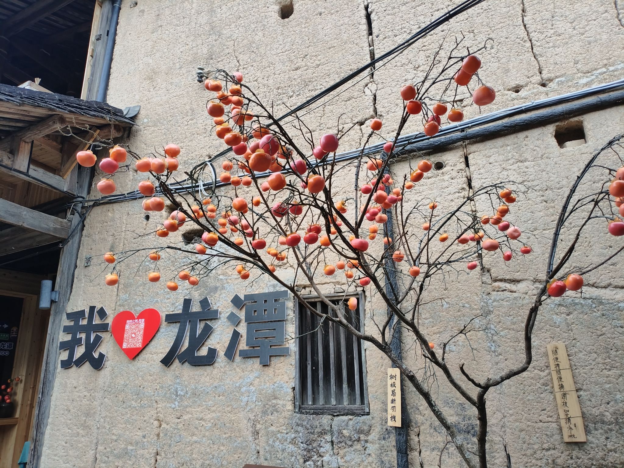 龙潭村旅行图片 3