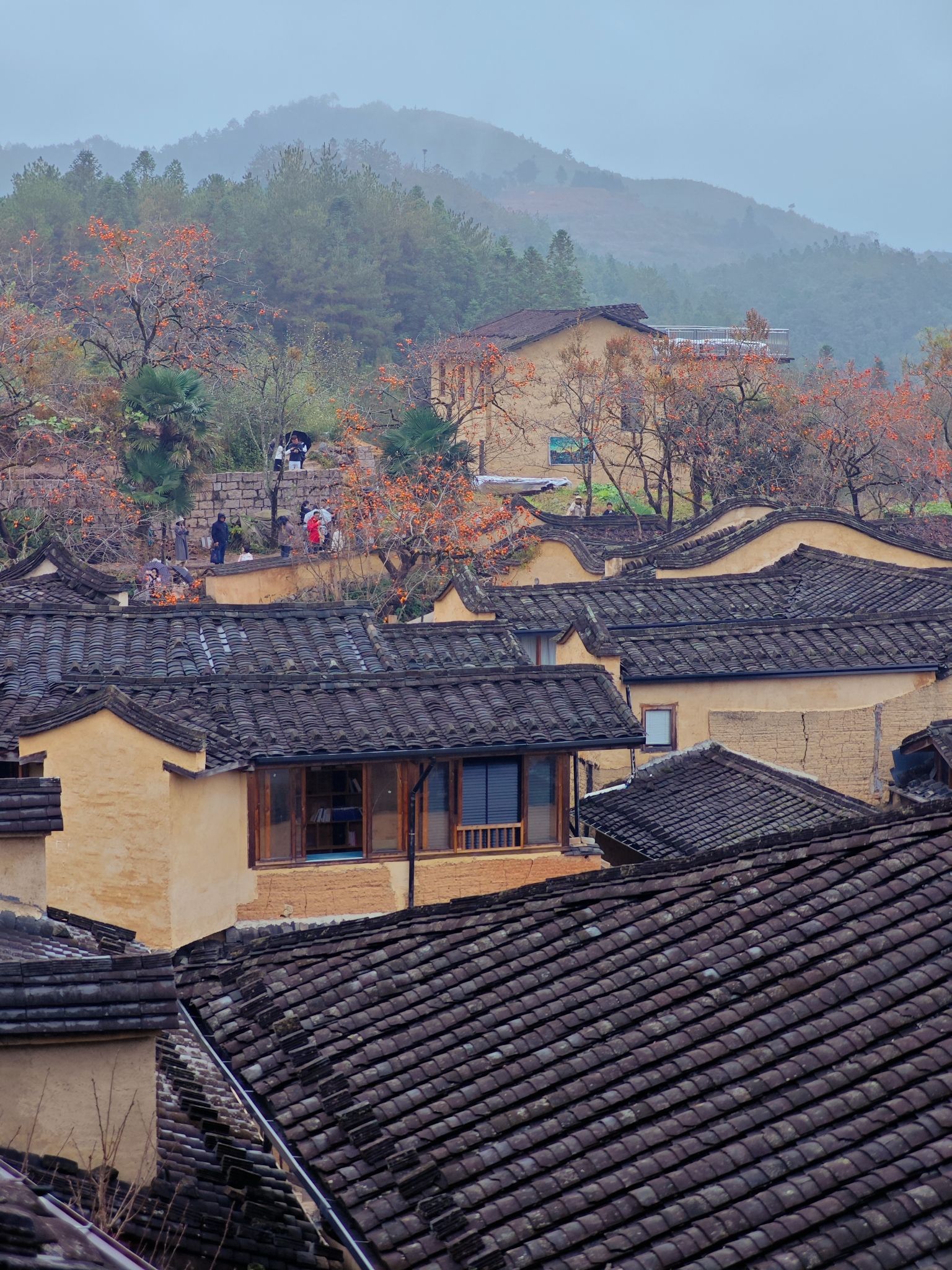 龙潭村旅行图片 3
