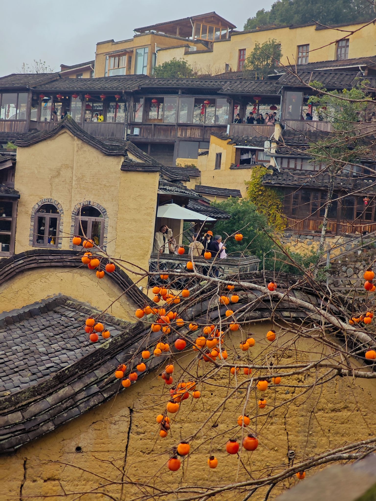 龙潭村旅行图片 2