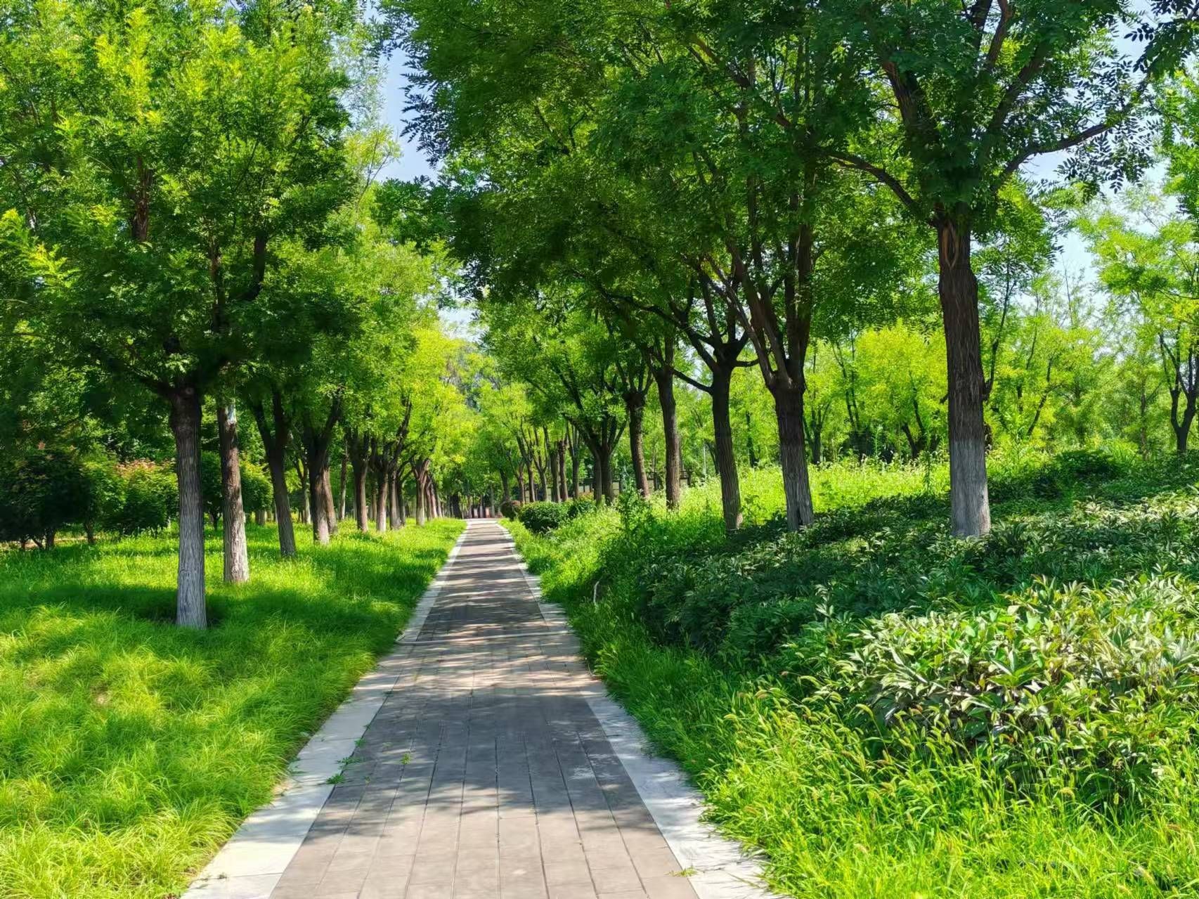 北京世园国际旅游度假区旅行图片 2