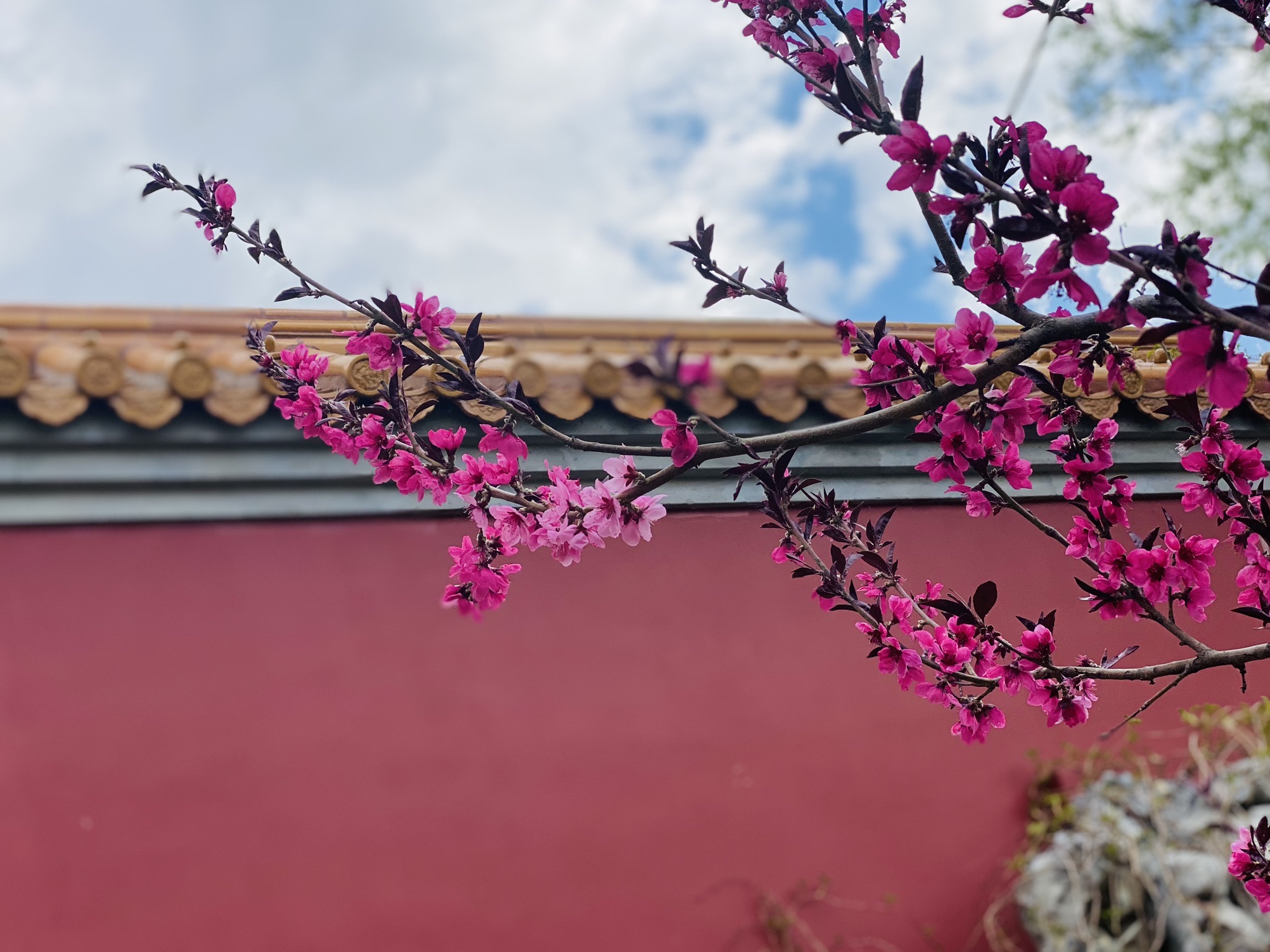 北京世园国际旅游度假区旅行图片 1