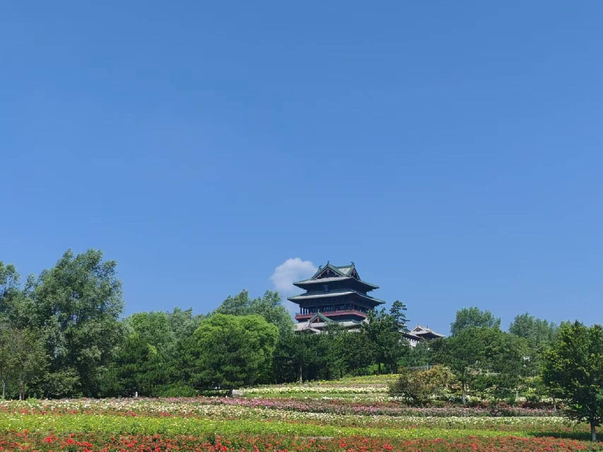 北京世园国际旅游度假区旅行图片 1