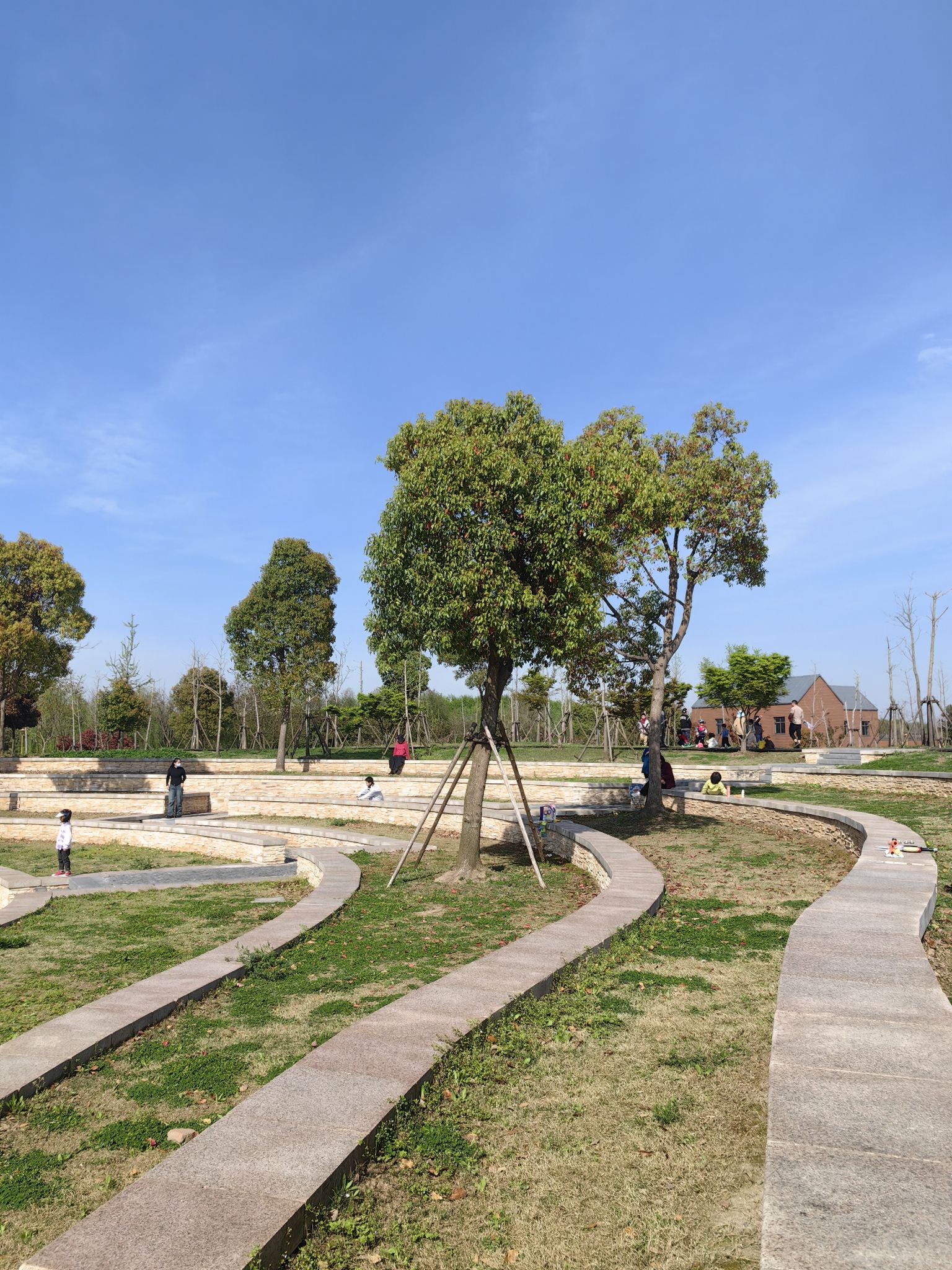奉城中心公园旅行图片 3