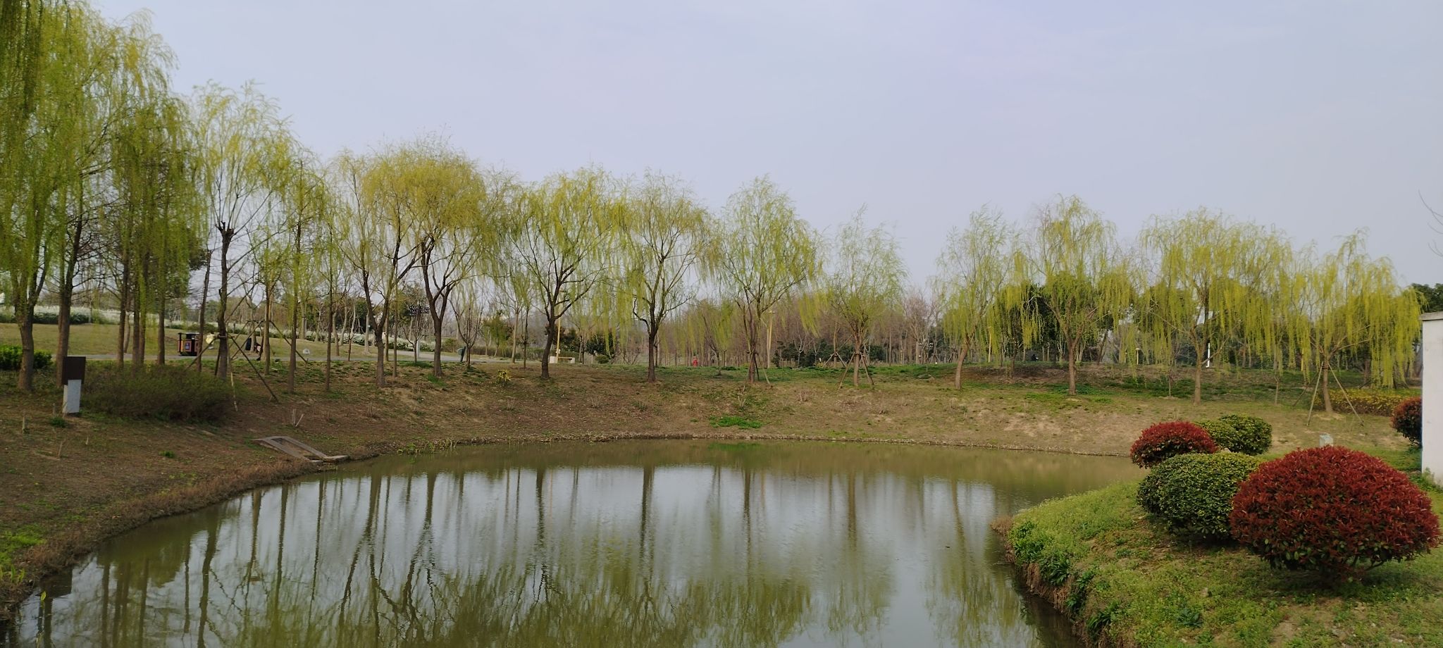 奉城中心公园旅行图片 2