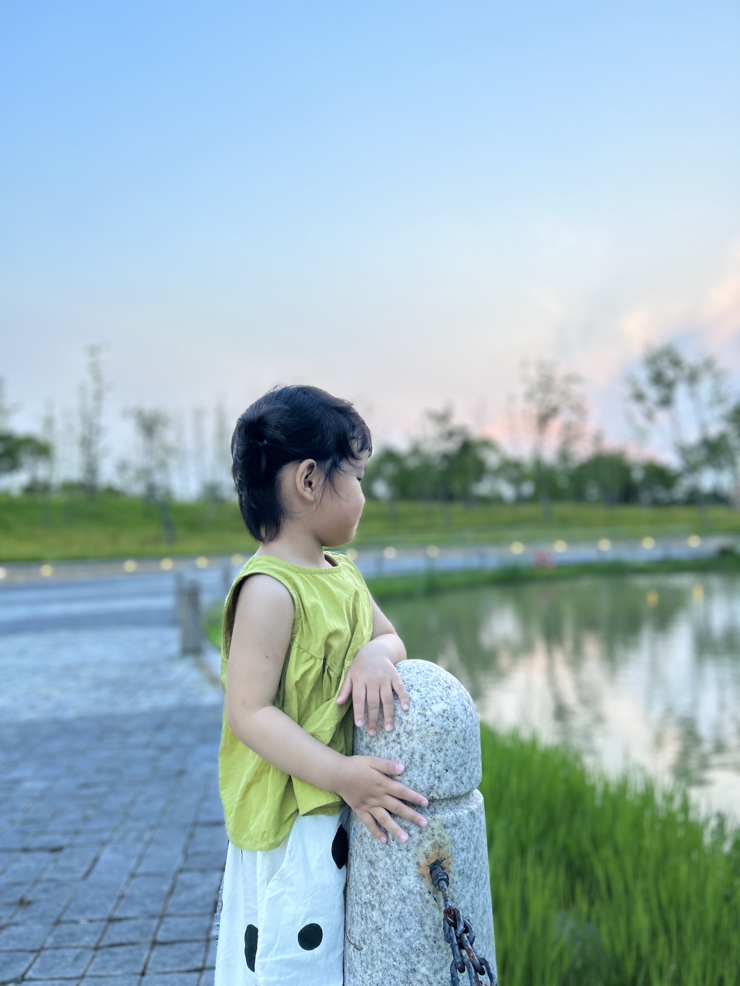 奉城中心公园旅行图片 3