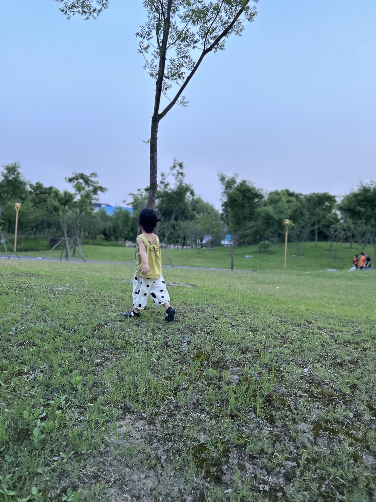 奉城中心公园旅行图片 1