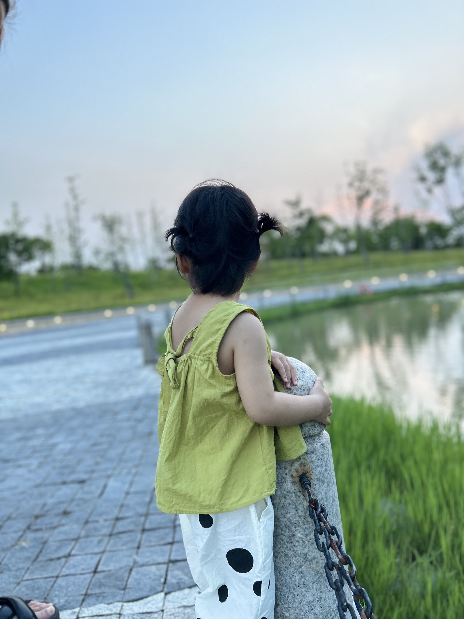 奉城中心公园旅行图片 2