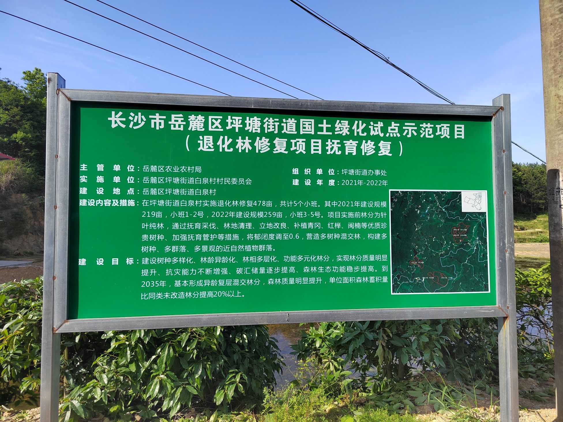 白泉森林公园旅行图片 3