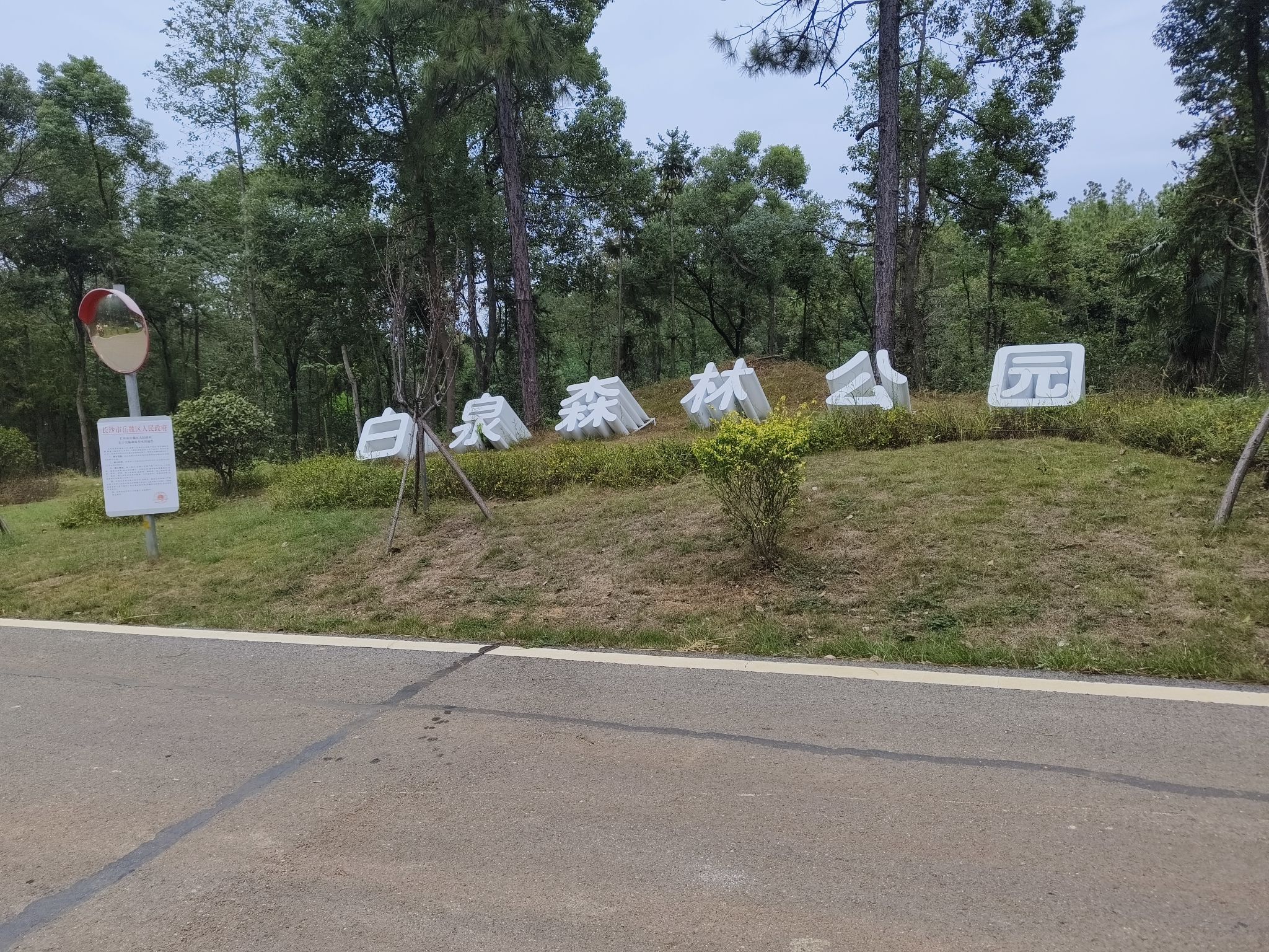 白泉森林公园旅行图片 1