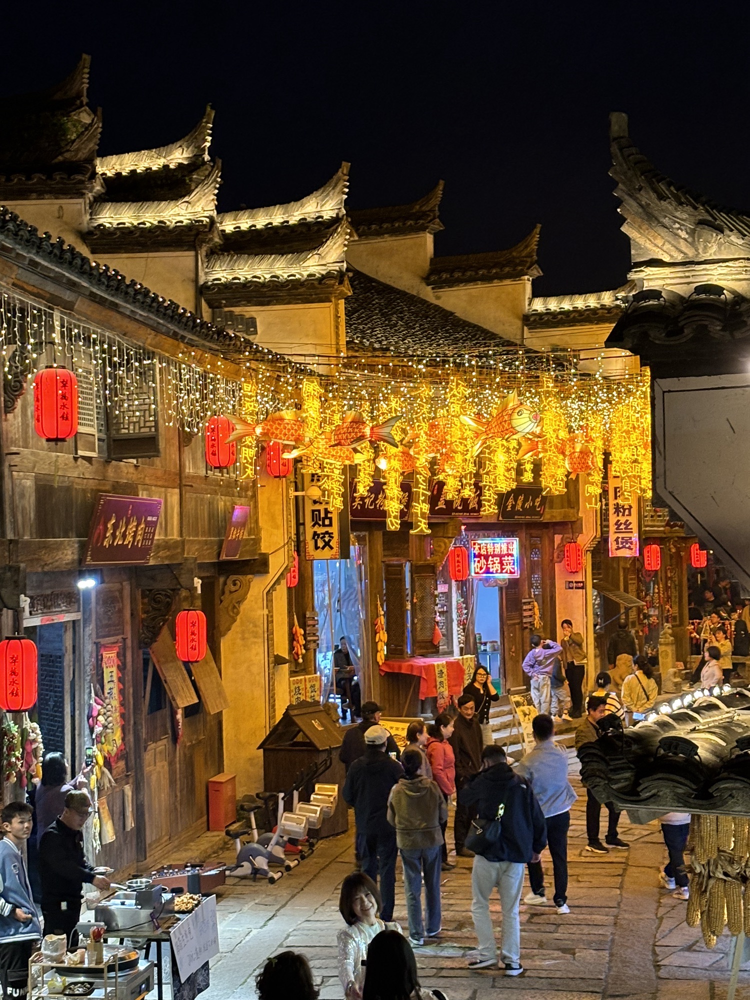 犁桥水镇旅行图片 1