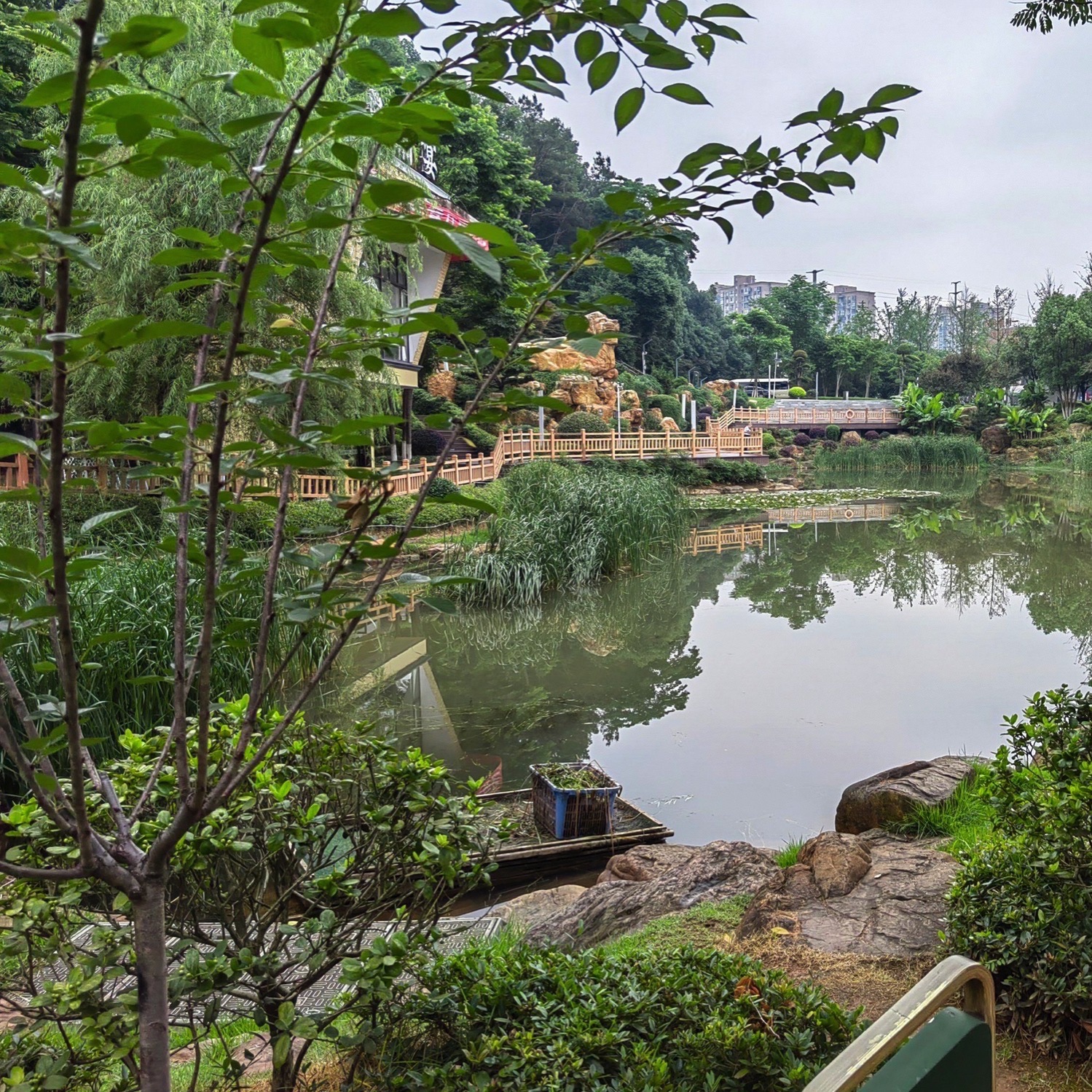 狮子山森林公园旅行图片 2