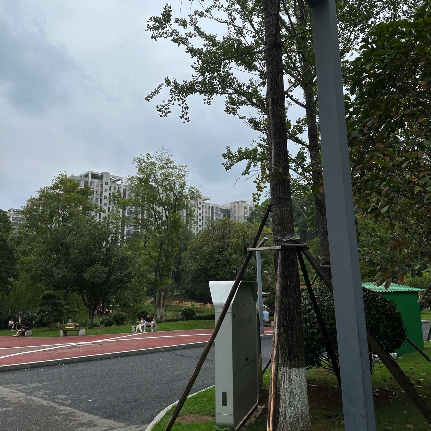狮子山森林公园旅行图片 3