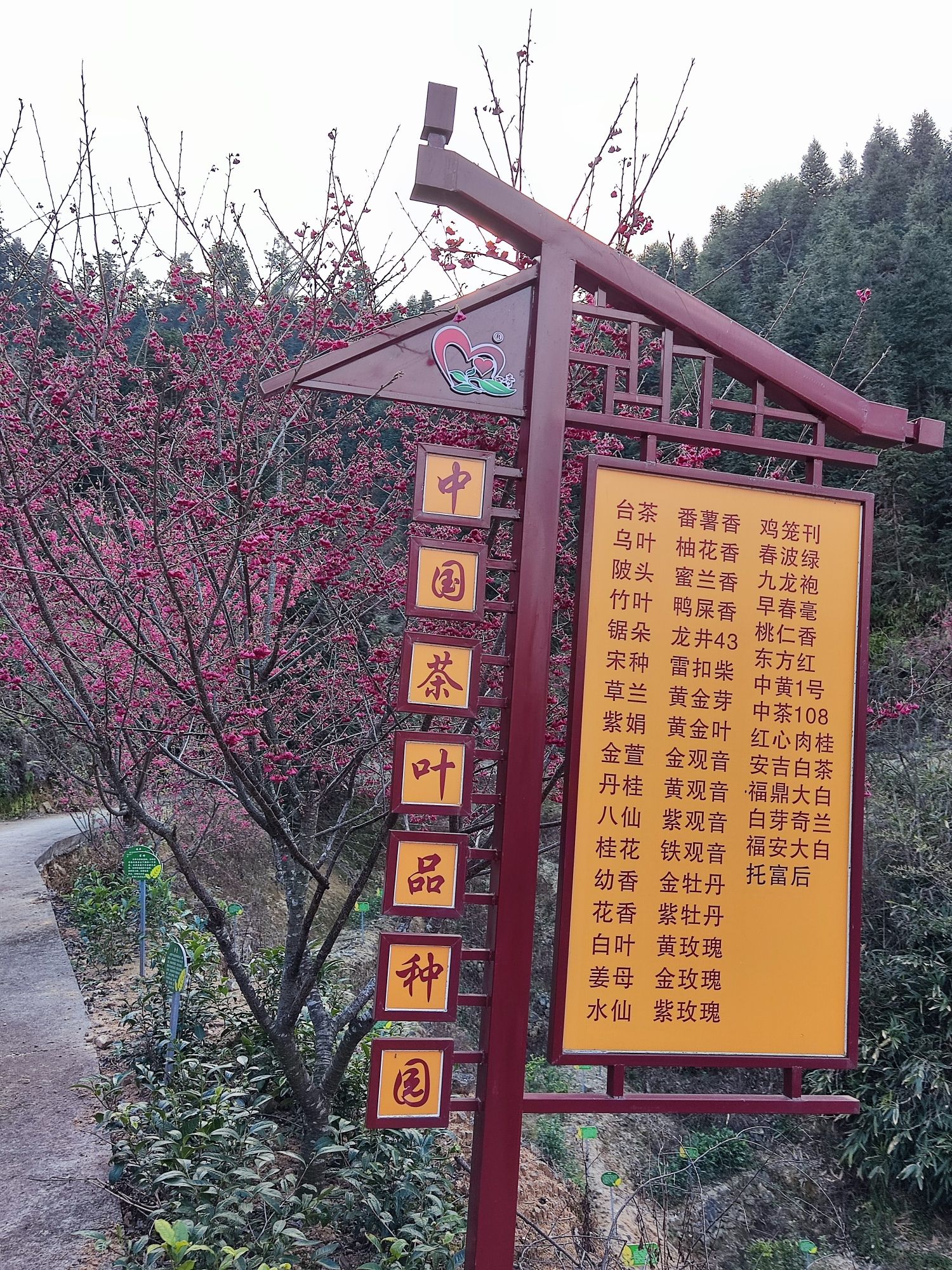 福建华安爱情天梯旅行图片 3