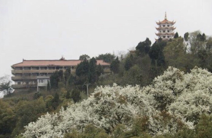 云锦山烟霞阁旅行图片 2