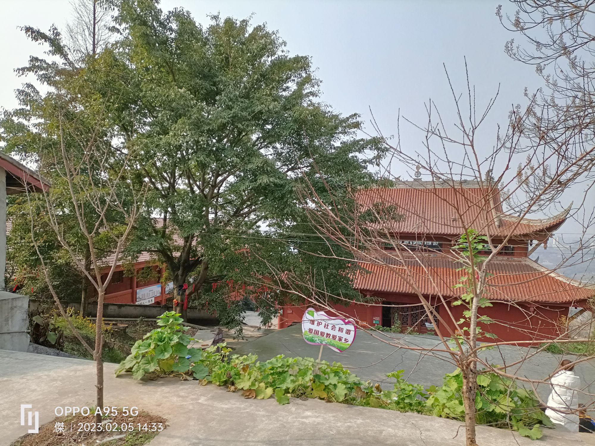 云锦山烟霞阁旅行图片 2