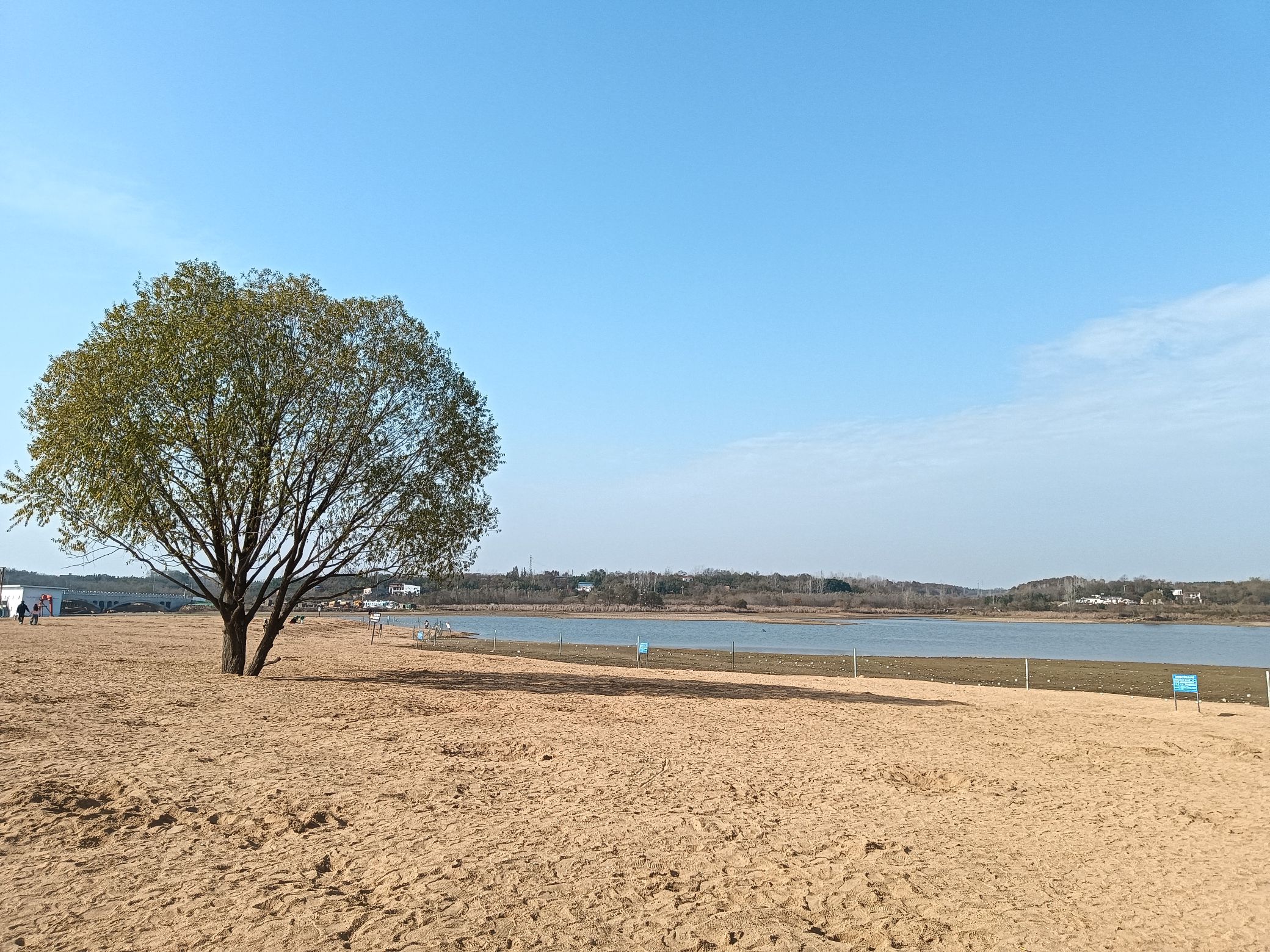 羊山新区北湖风景区旅行图片 1