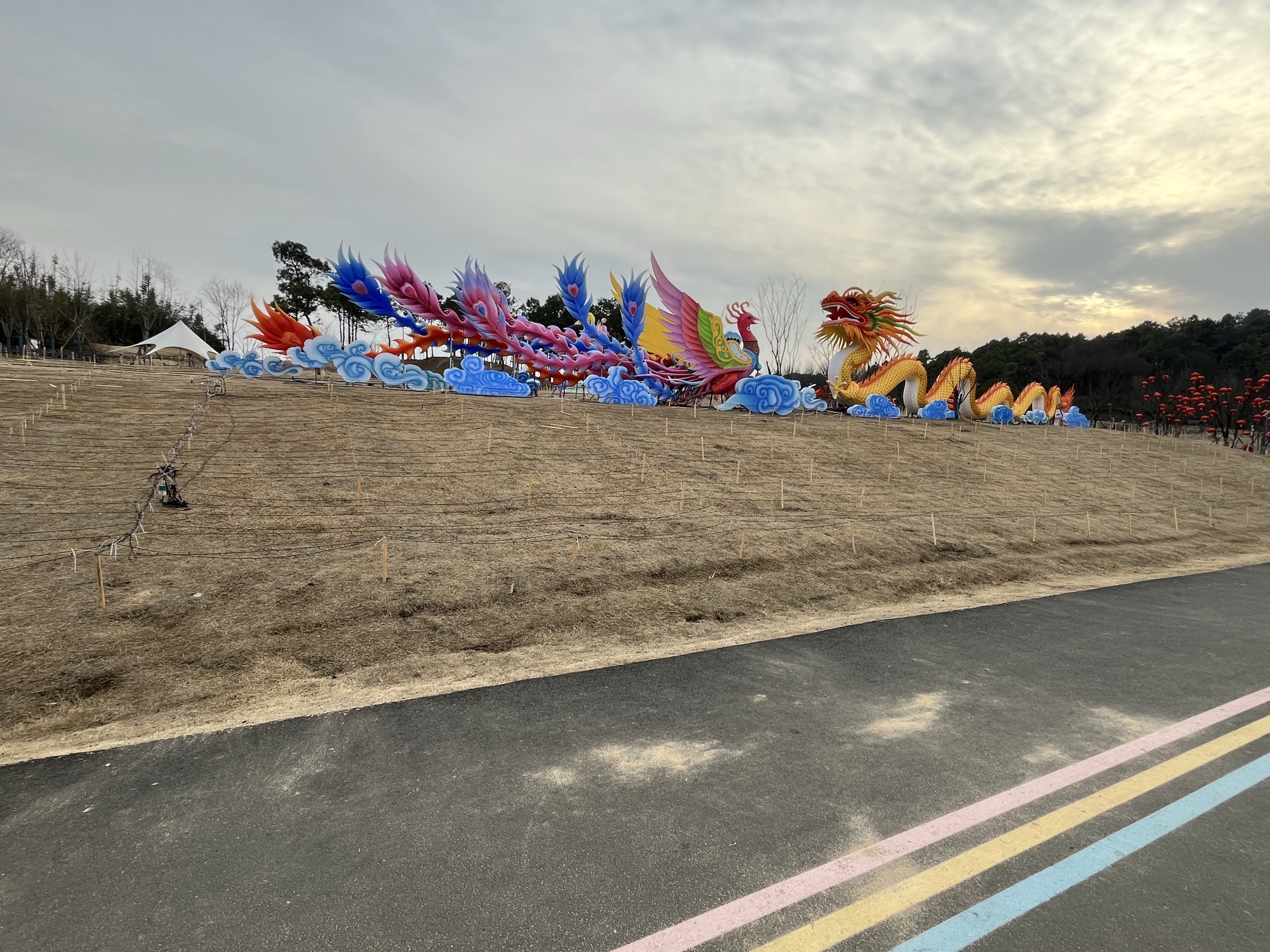 羊山新区北湖风景区旅行图片 2