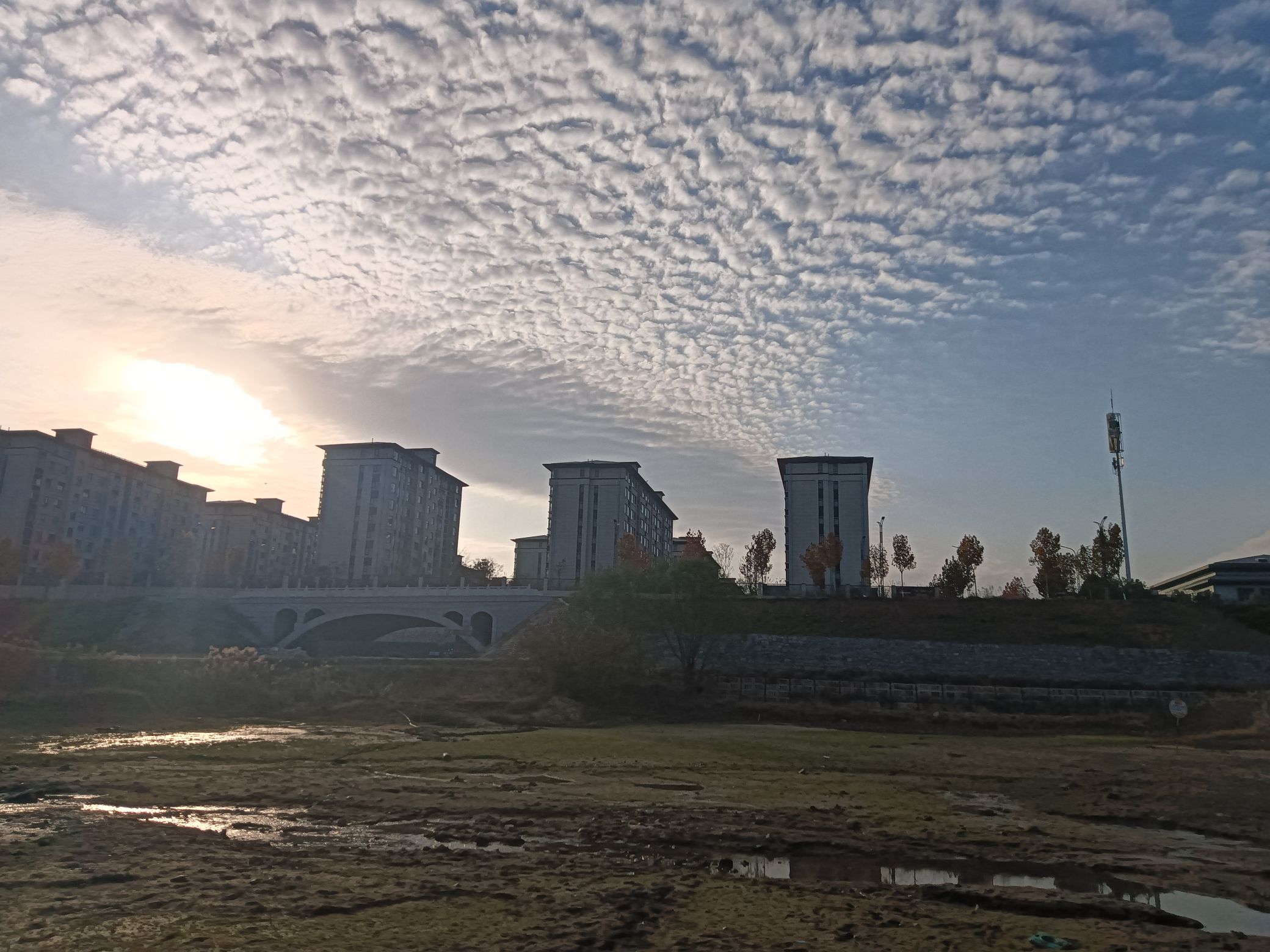 羊山新区北湖风景区旅行图片 3
