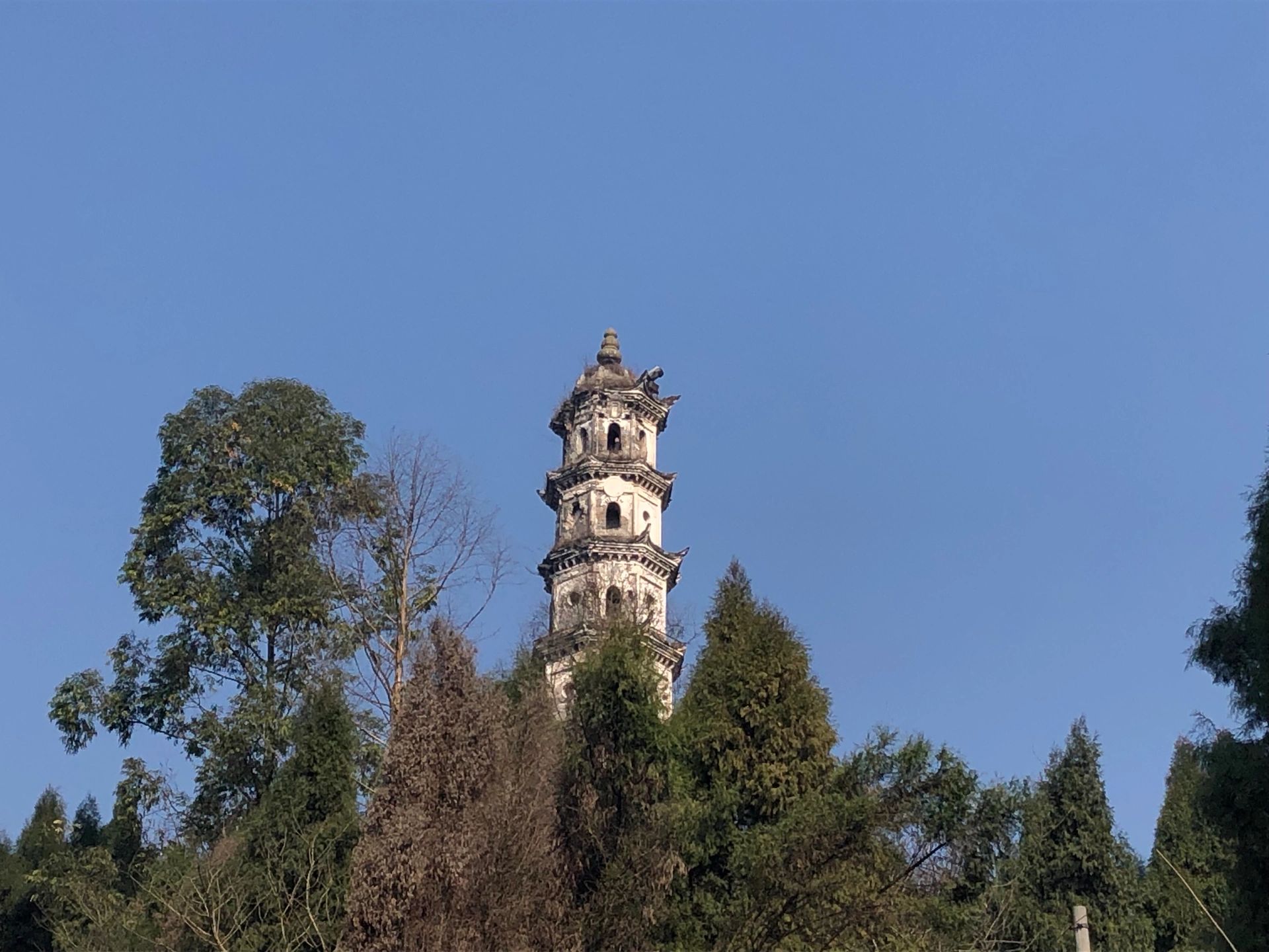 文光塔旅行图片 2