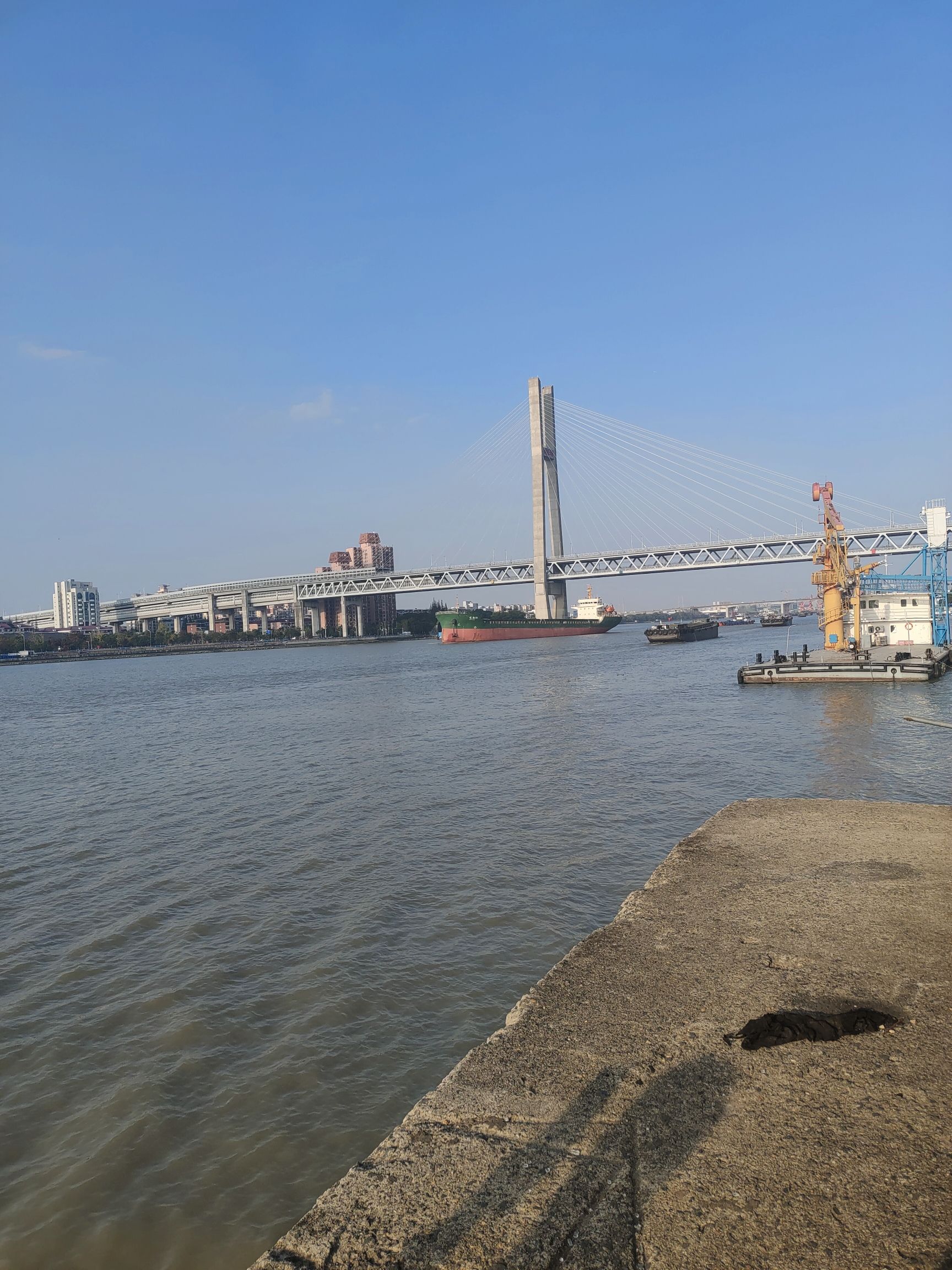 西渡江边公园旅行图片 1