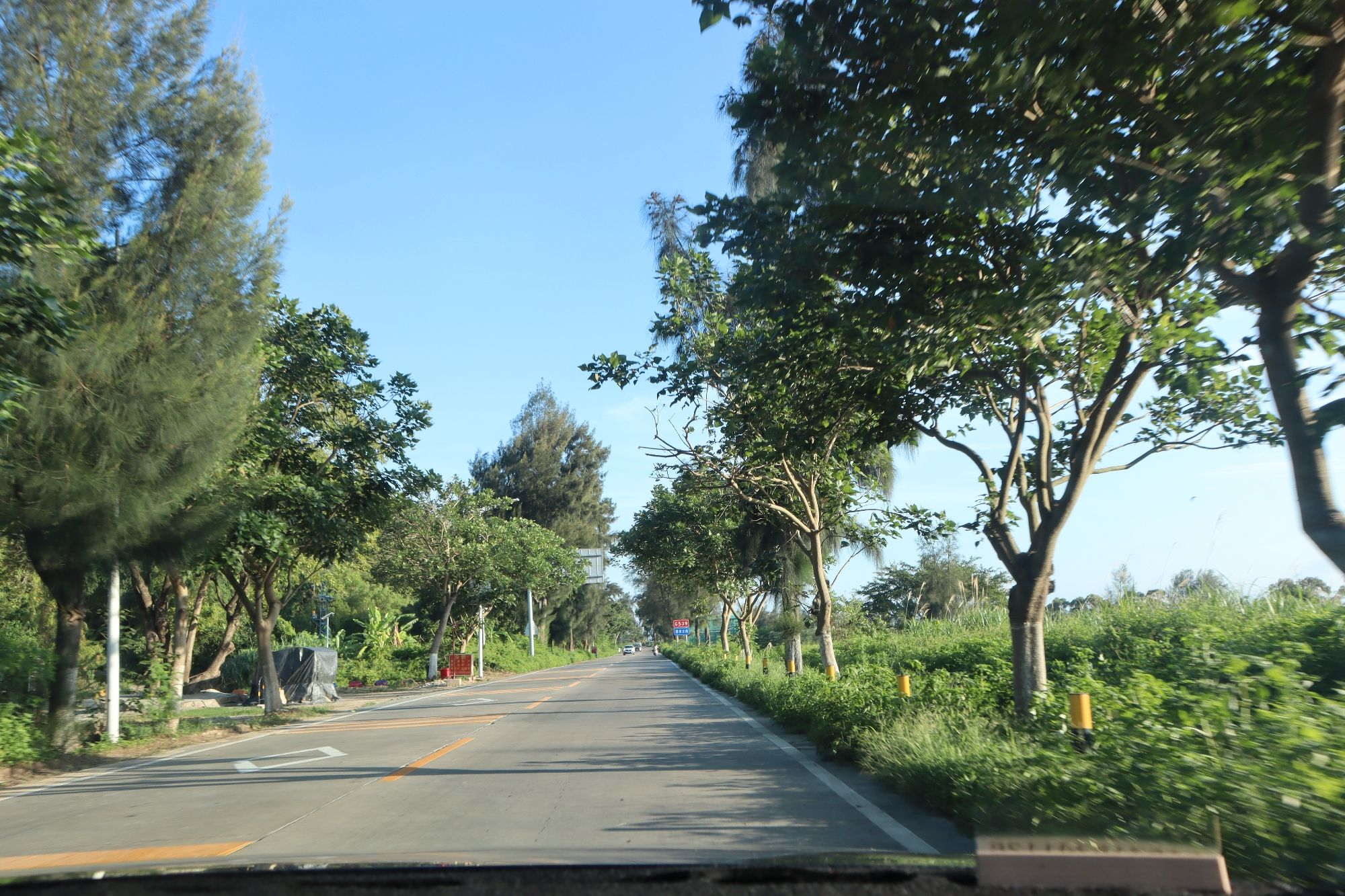 潮下小公园旅行图片 3