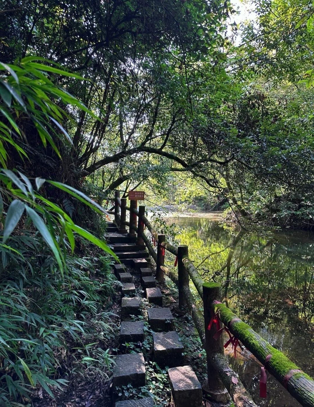 峨山风景区旅行图片 1