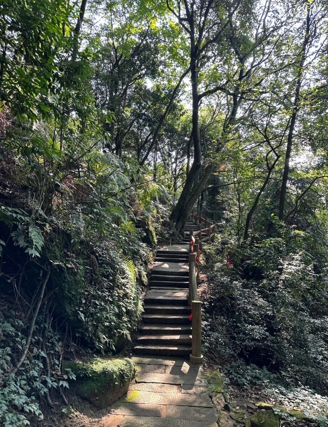 峨山风景区旅行图片 2