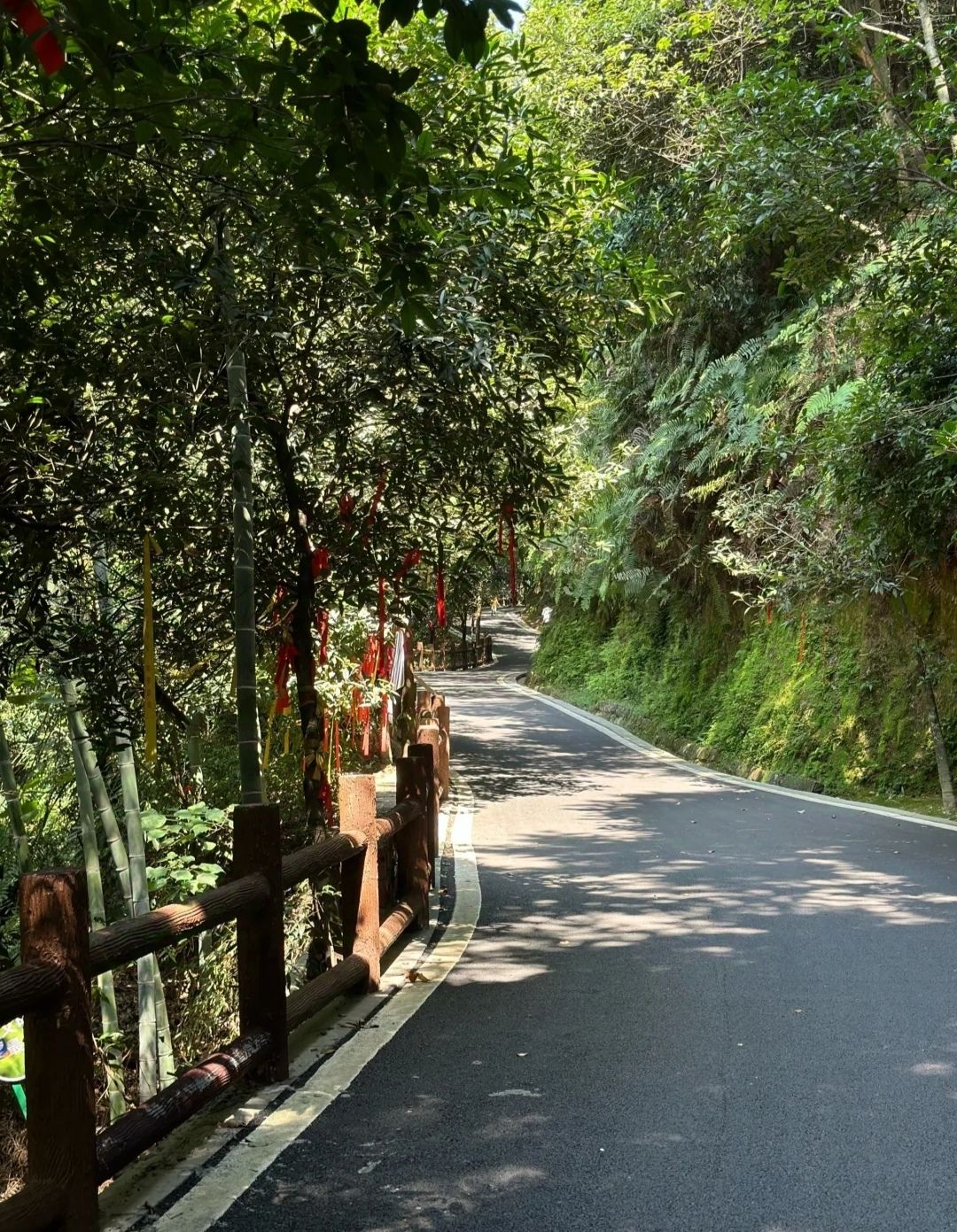 峨山风景区旅行图片 3