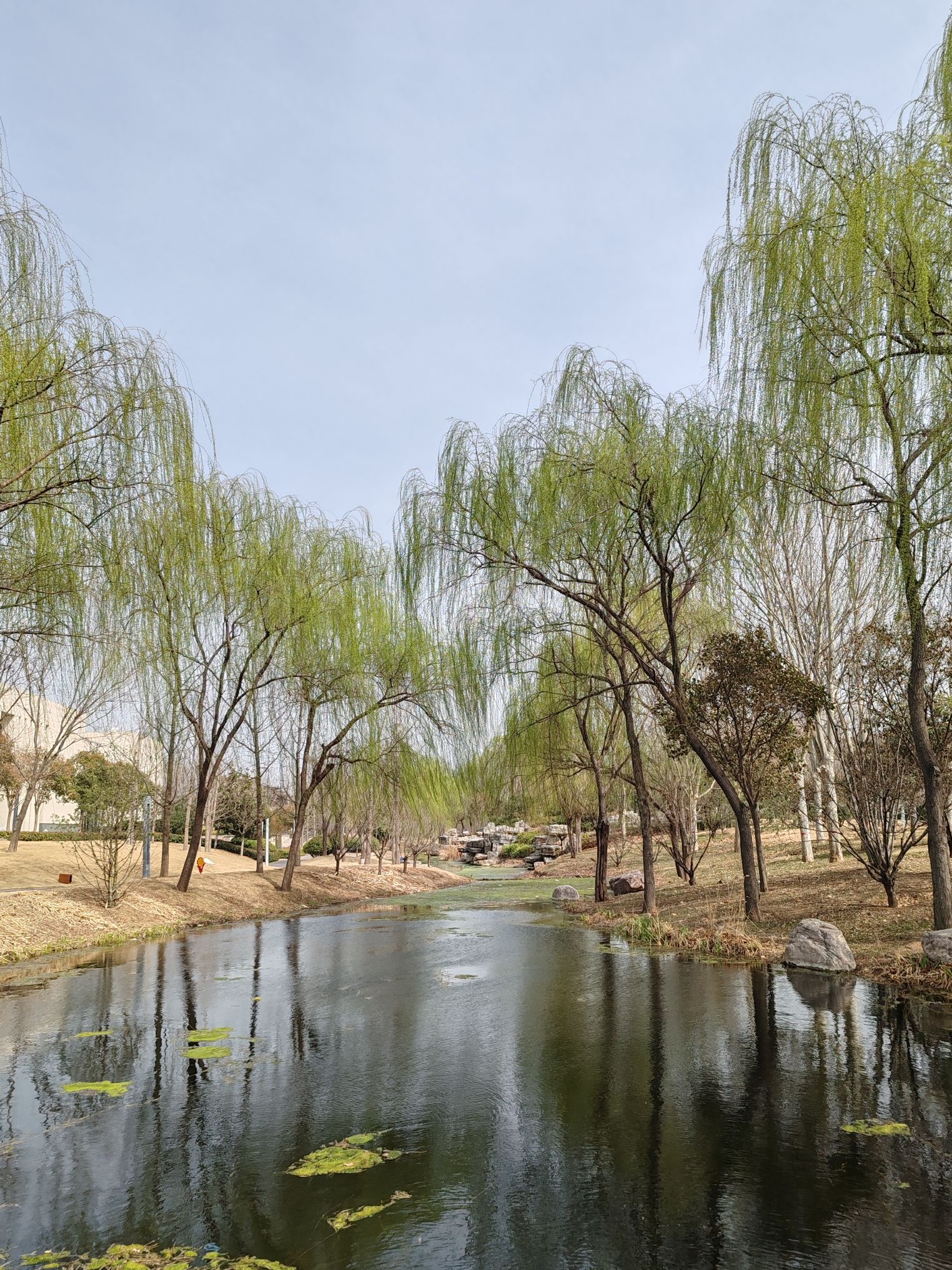 武陟凤仪湖公园旅行图片 2